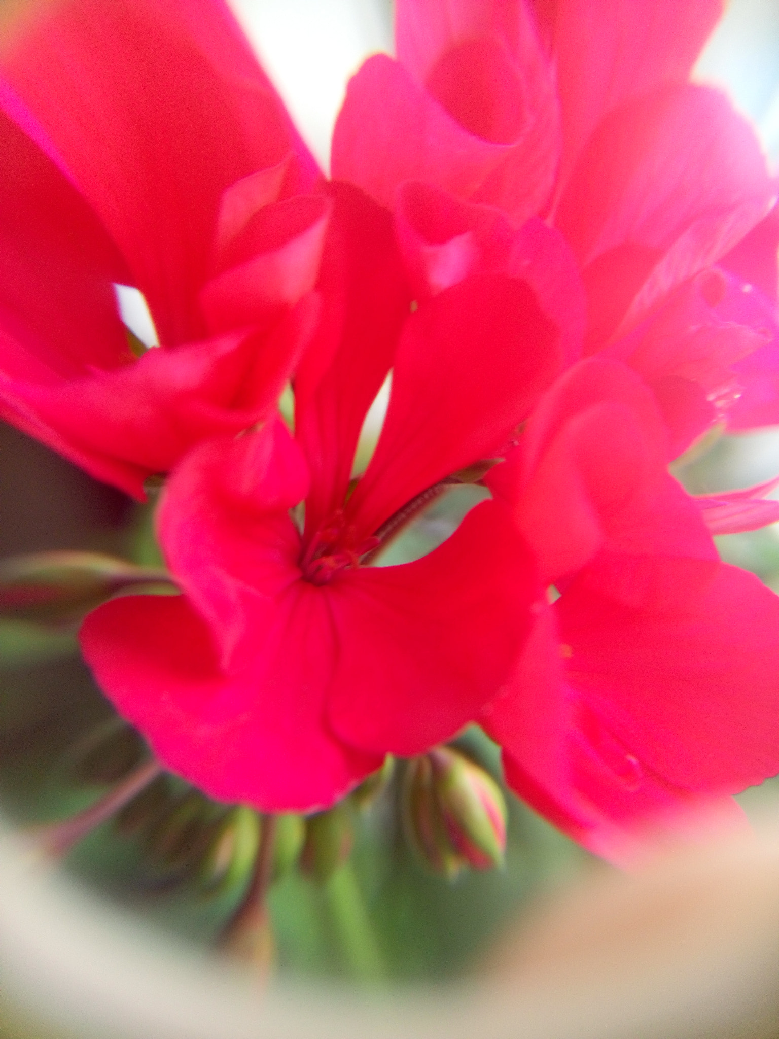 Meizu MX4 sample photo. 7 photography