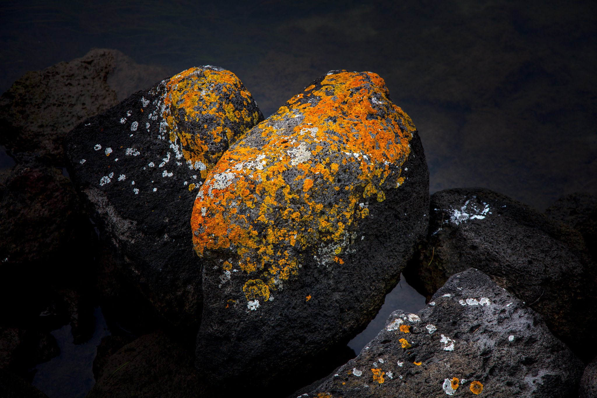 Canon EOS 5DS + Canon EF 24-105mm F4L IS USM sample photo. Mossy rocks photography