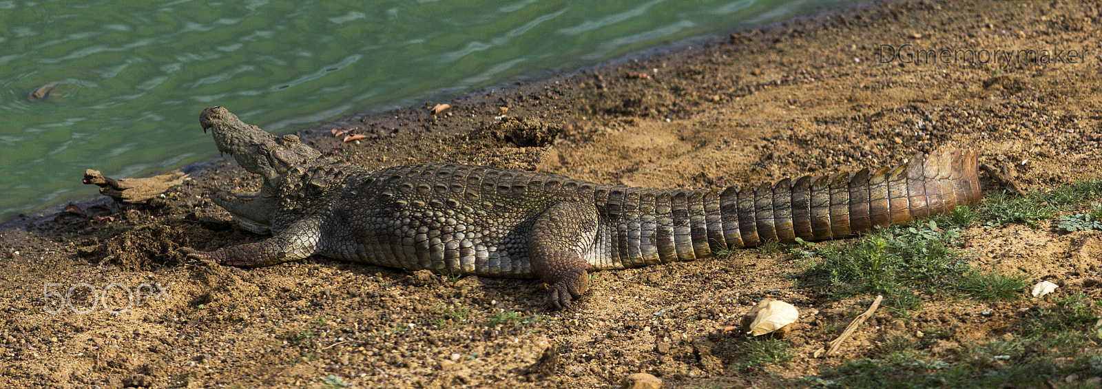 Canon EF-S 55-250mm F4-5.6 IS sample photo. Amazing sri lanka photography