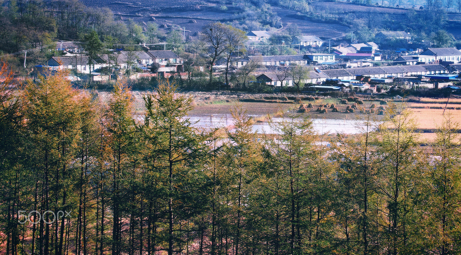 Canon EF 35-350mm F3.5-5.6L USM sample photo. 故乡秋韵 photography