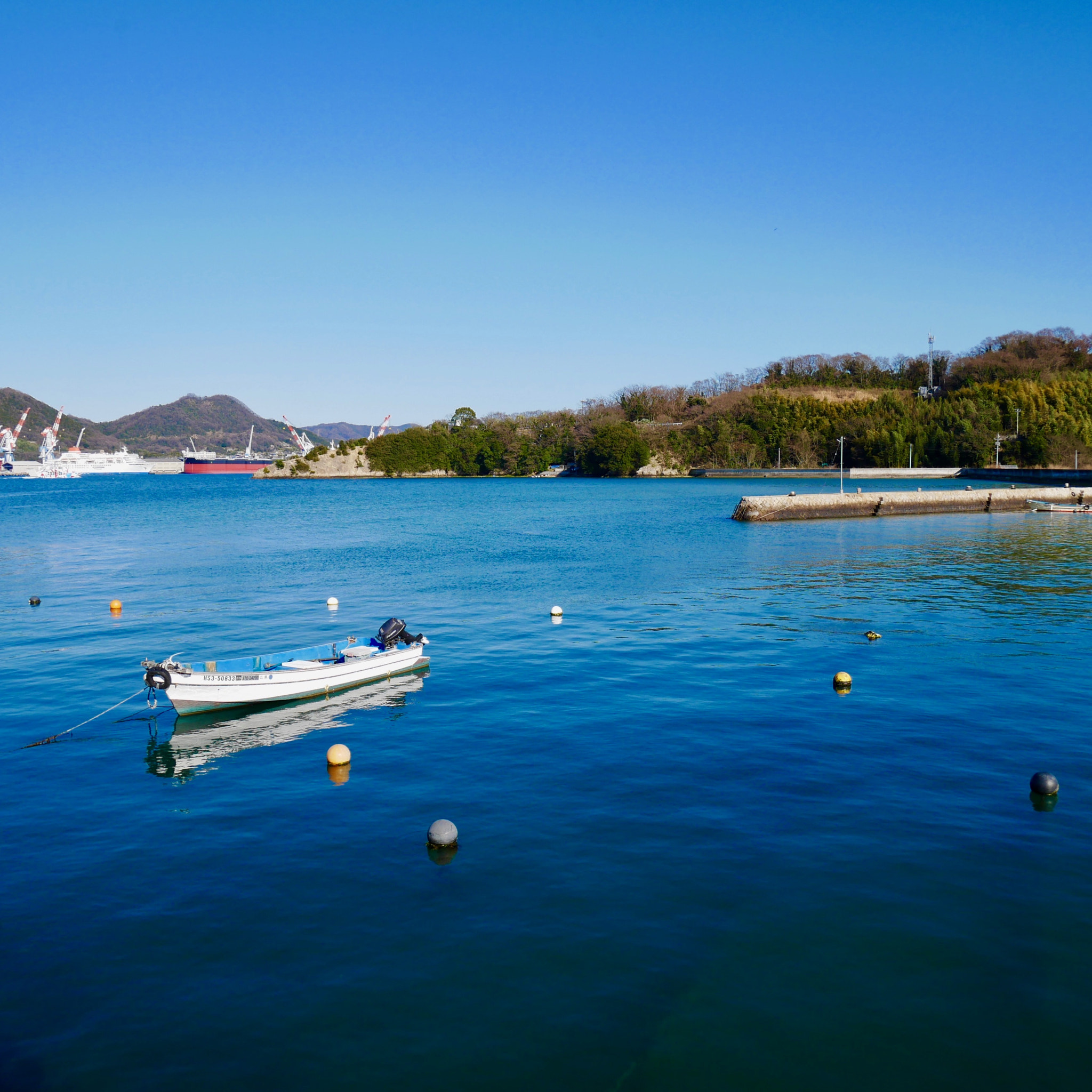 Panasonic Lumix DMC-GX85 (Lumix DMC-GX80 / Lumix DMC-GX7 Mark II) + Panasonic Lumix G Vario HD 12-32mm F3.5-5.6 Mega OIS sample photo. 百島 momoshima photography