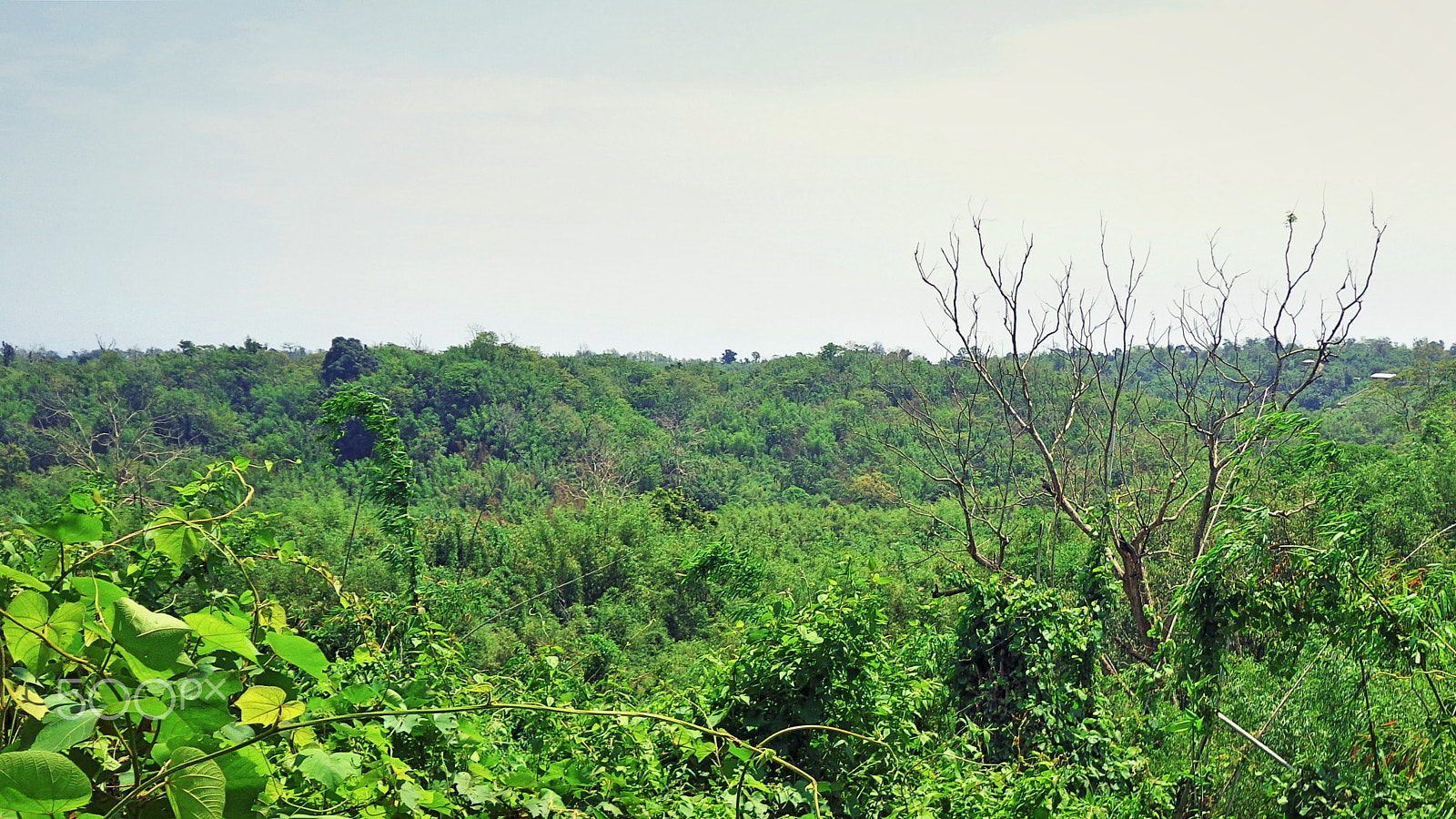 Sony DSC-W650 sample photo. View from a hill photography