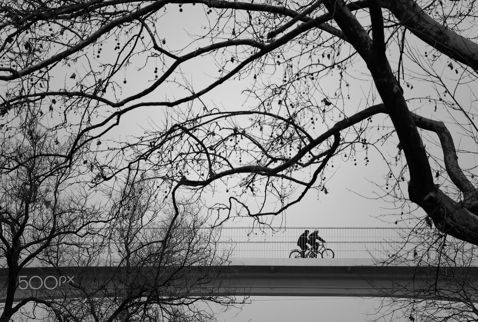 Nikon AF-S Nikkor 24-120mm F4G ED VR sample photo. A walk on a winter's sky photography