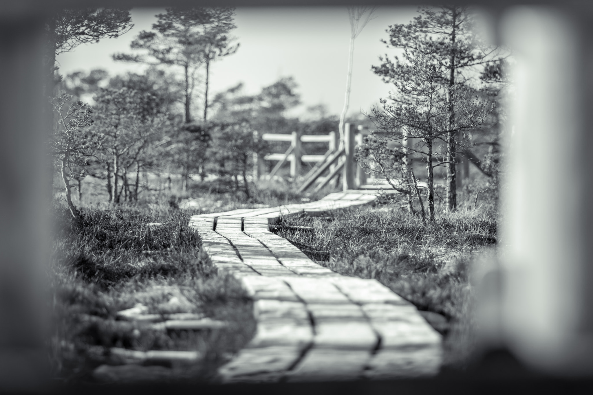 Nikon AF-S Nikkor 70-200mm F2.8G ED VR II sample photo. Wooden trail leading through a frozen bog photography