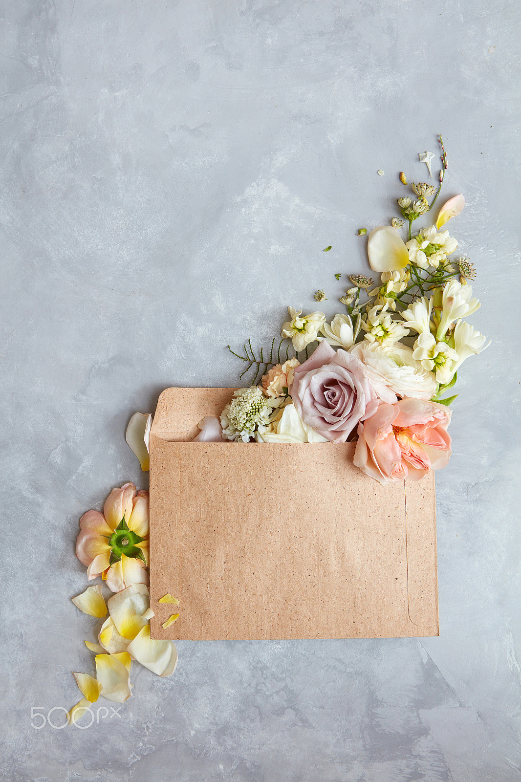 Canon EOS 5DS R sample photo. Flowers in envelope photography