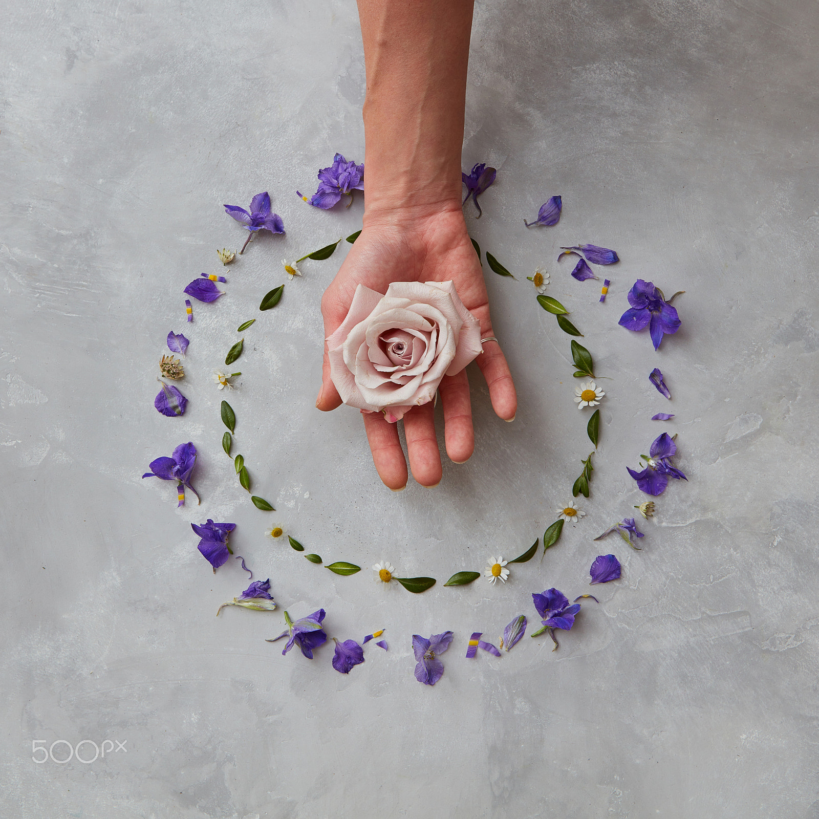 Canon EOS 5DS R sample photo. Frame of flowers photography