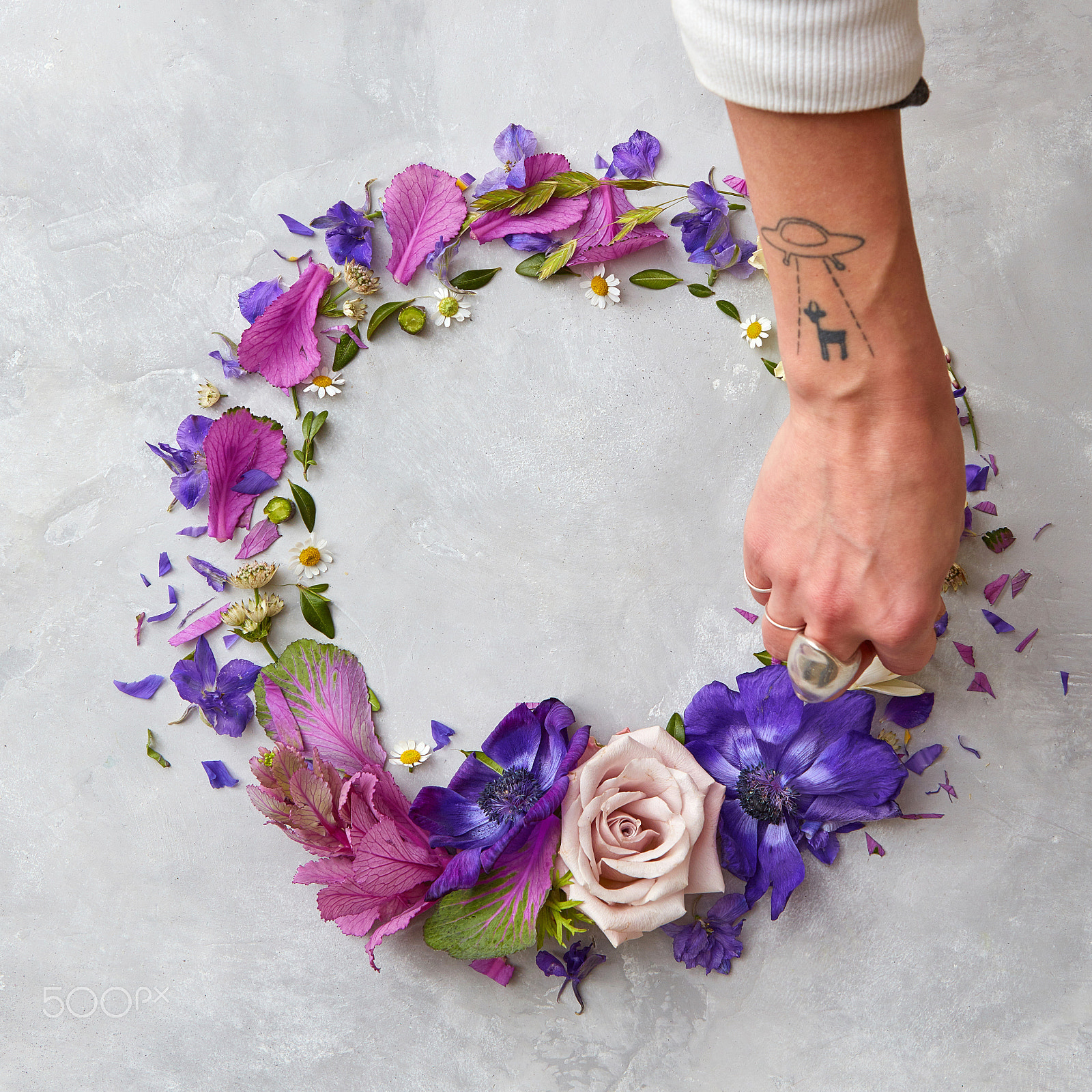 Canon EOS 5DS R sample photo. Frame of flowers photography