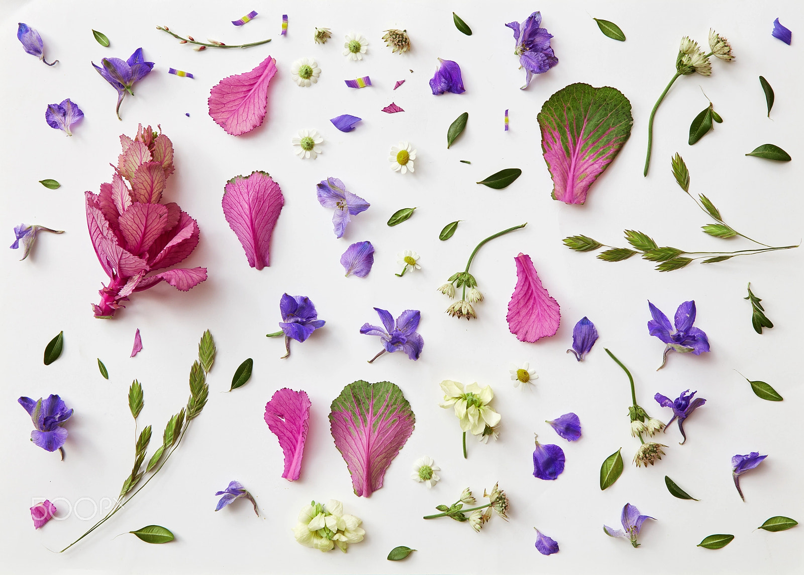 Canon EOS 5DS R sample photo. Flowers as background photography