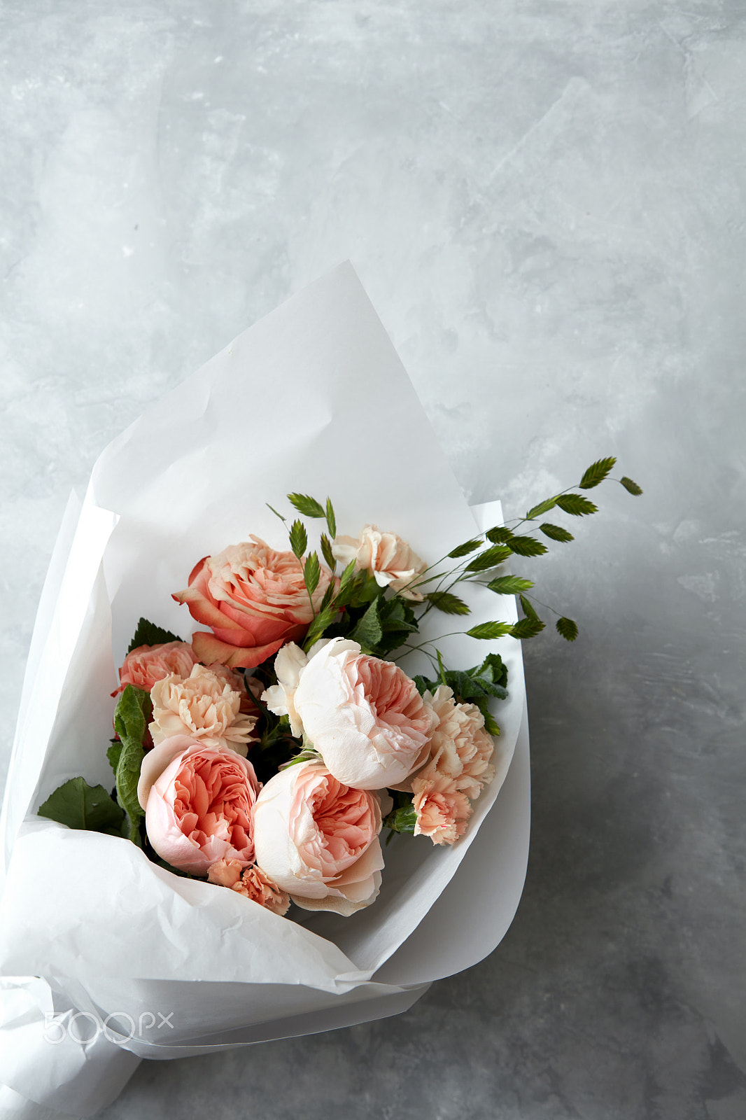 Canon EF 24-70mm F2.8L USM sample photo. Beautiful pink roses photography