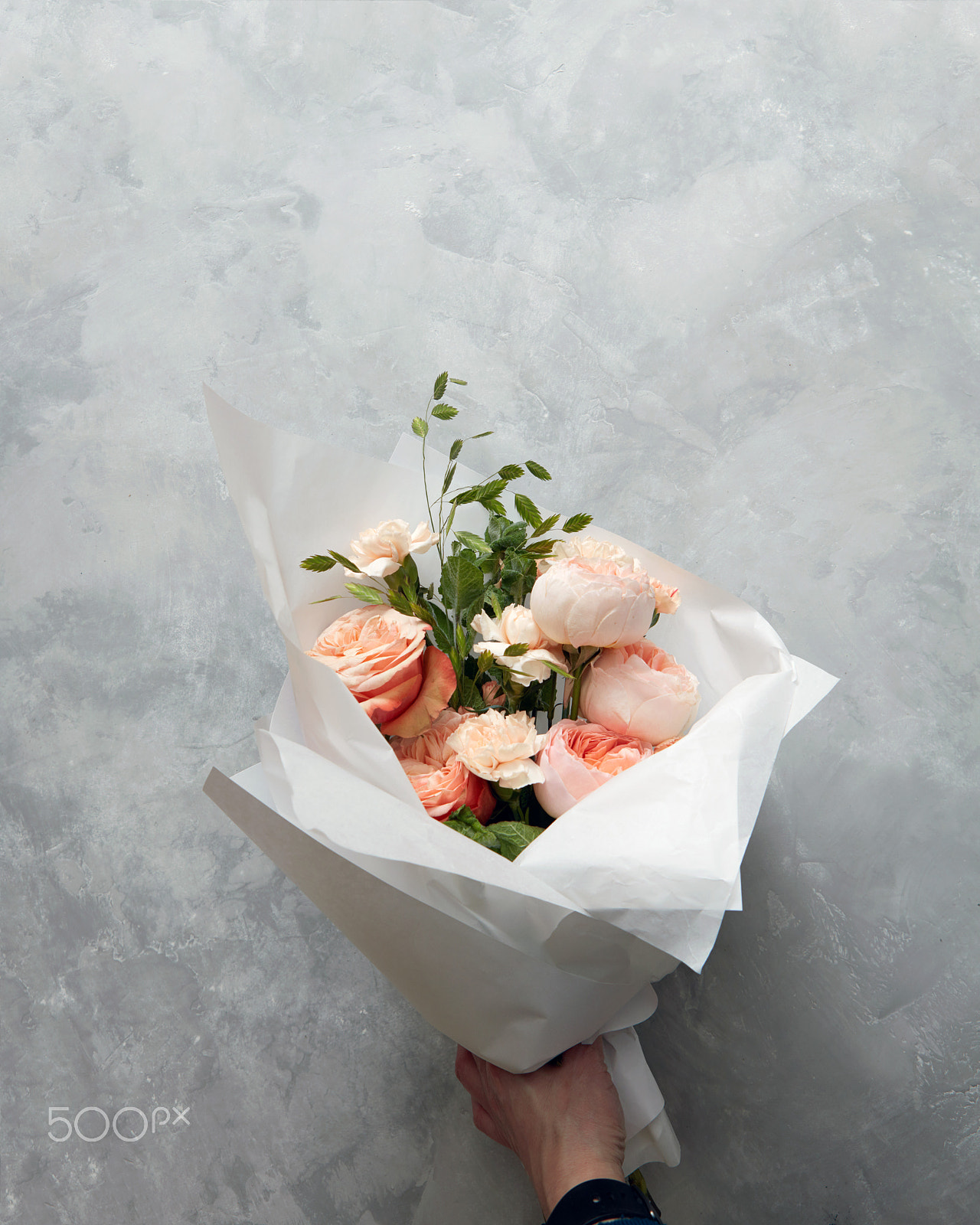 Canon EF 24-70mm F2.8L USM sample photo. Beautiful pink roses photography