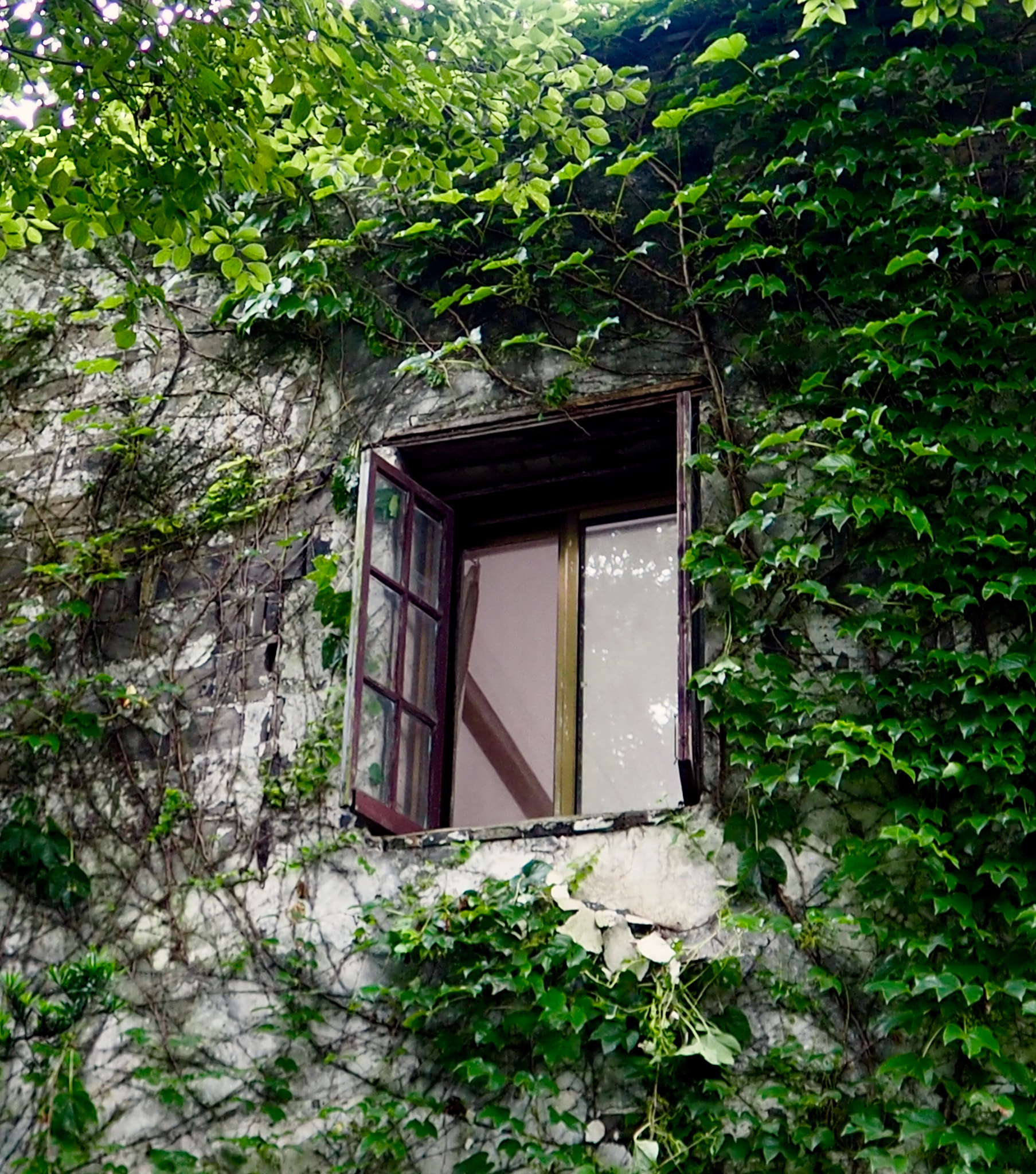 Olympus OM-D E-M10 sample photo. Green window - china photography