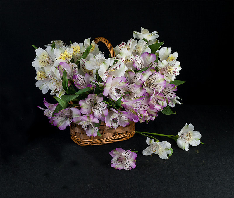 Nikon D800 + Nikon AF Nikkor 50mm F1.4D sample photo. Basket of flowers photography