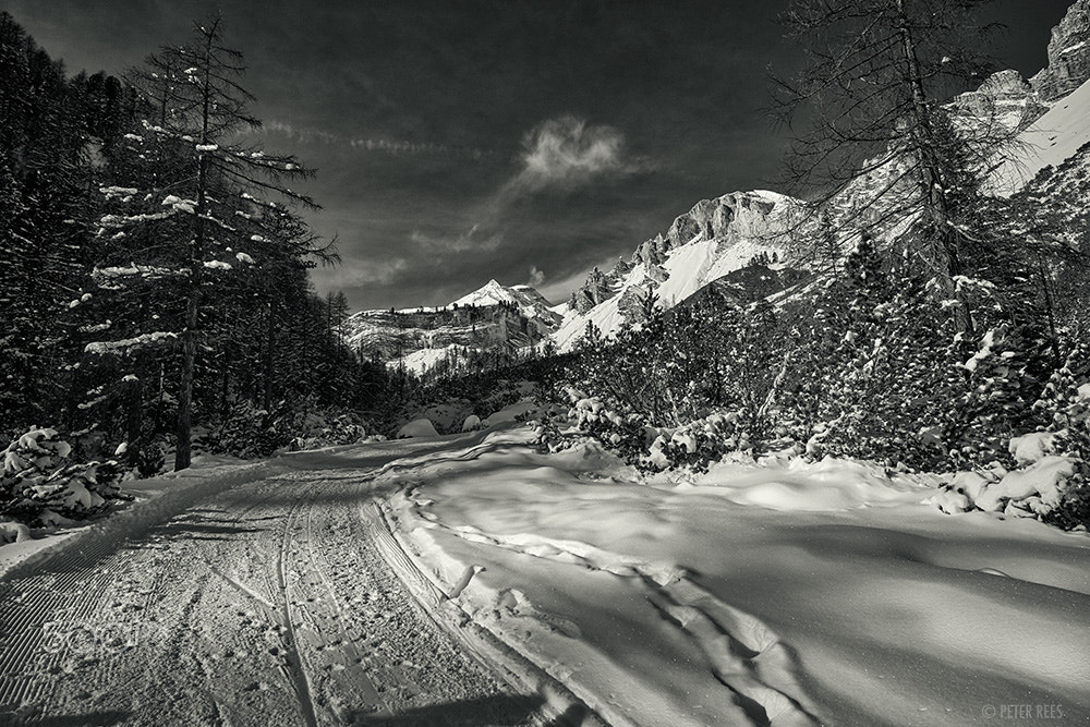 Leica Super-Elmar-M 21mm F3.4 ASPH sample photo. Winter wonderland ii photography