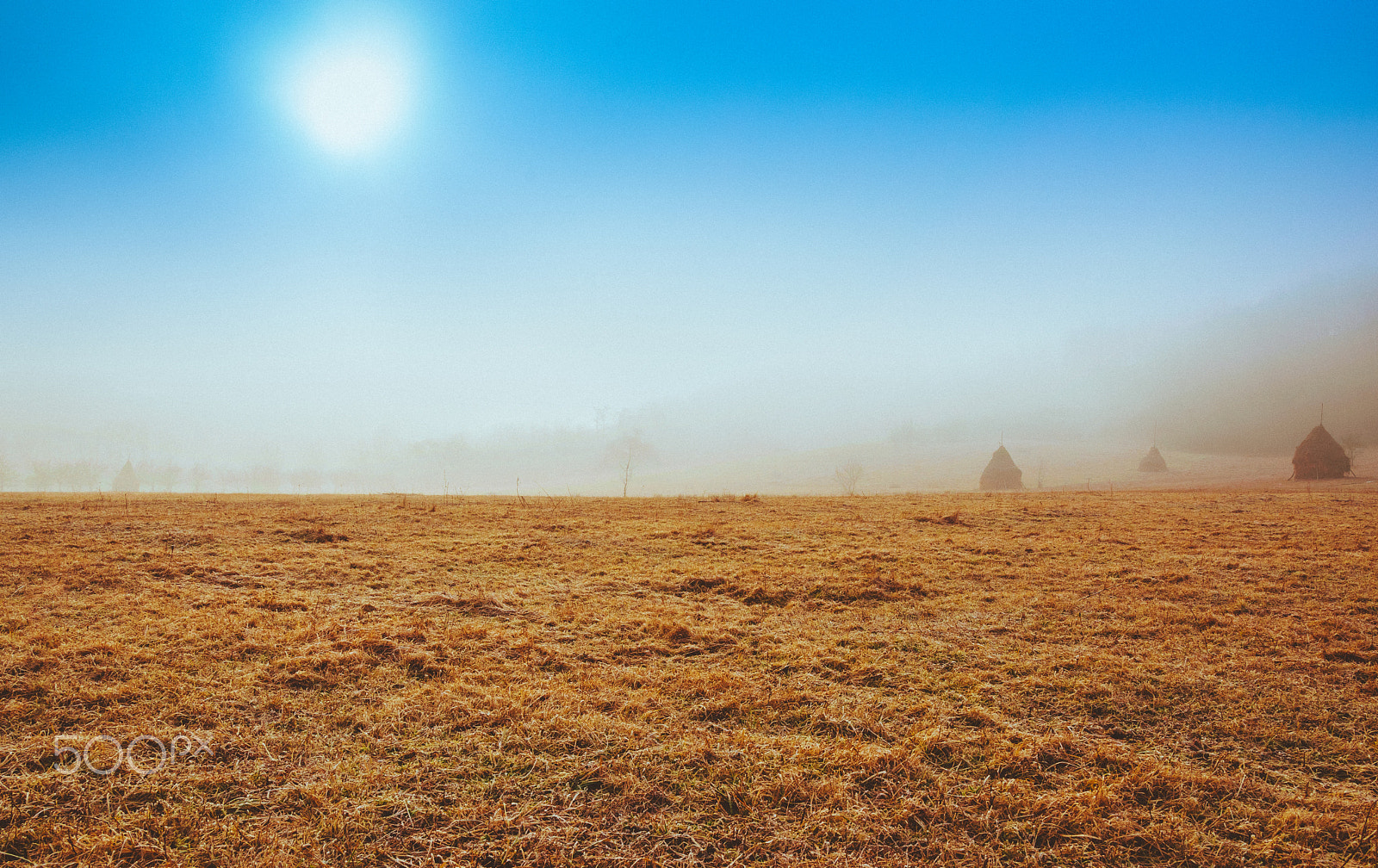 Nikon D5300 sample photo. Foggy sunrise in transylvania photography