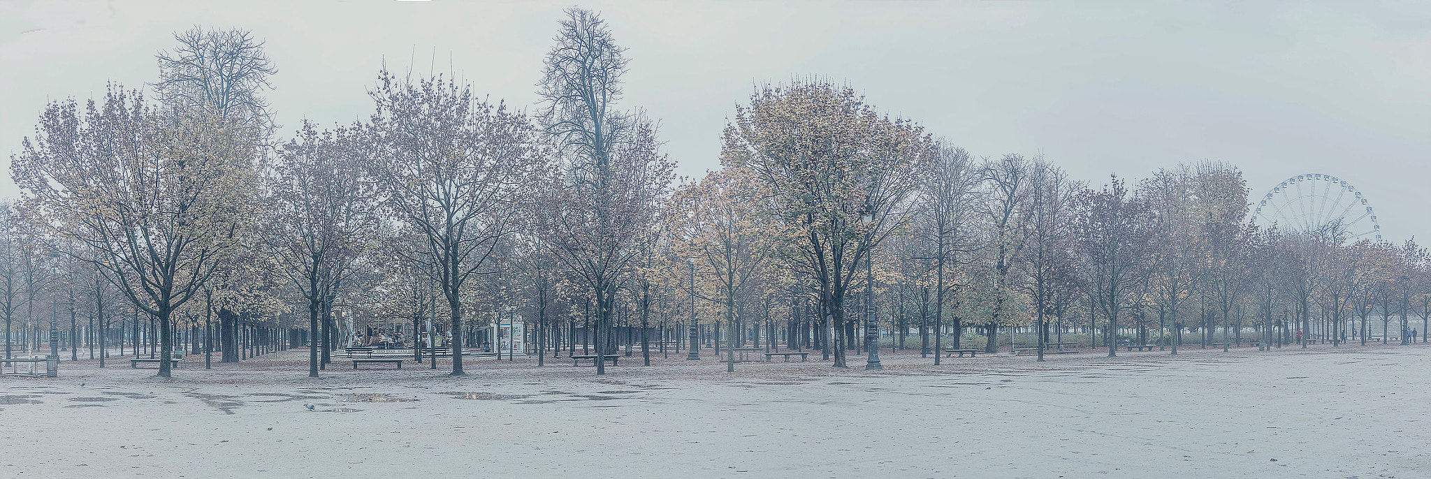 35mm F2.0 sample photo. Winter paris photography