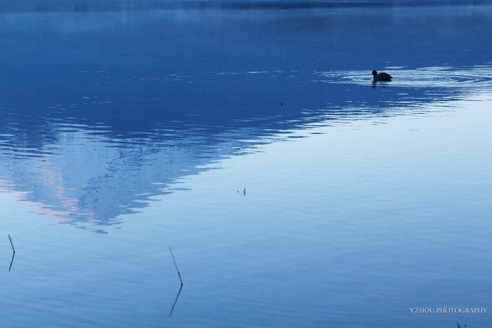 Canon EOS 60D sample photo. Swimming in the reflection photography