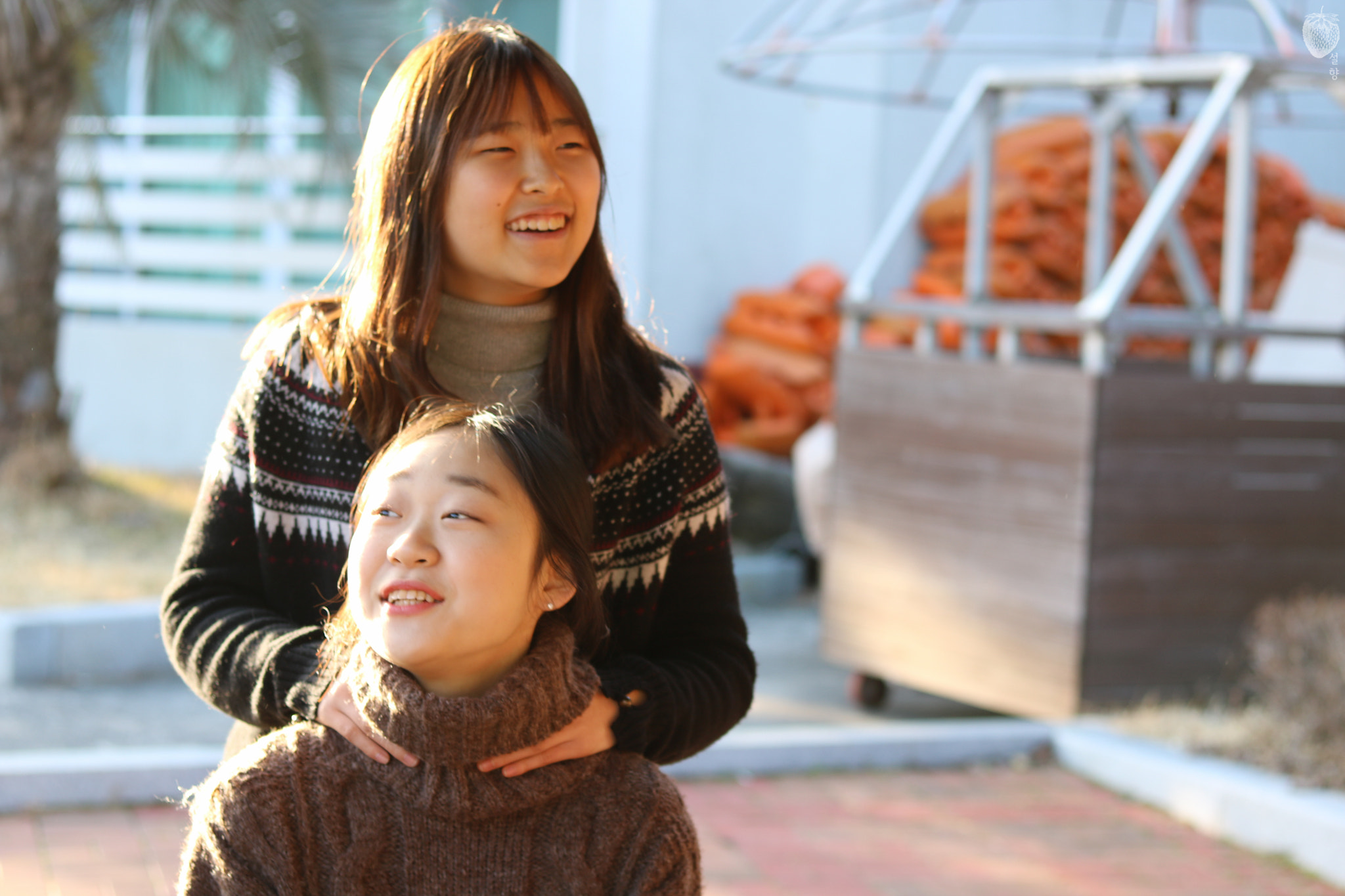 Canon EOS 760D (EOS Rebel T6s / EOS 8000D) + Canon EF 50mm F1.8 STM sample photo. 벌써 그리운 졸업여행 photography