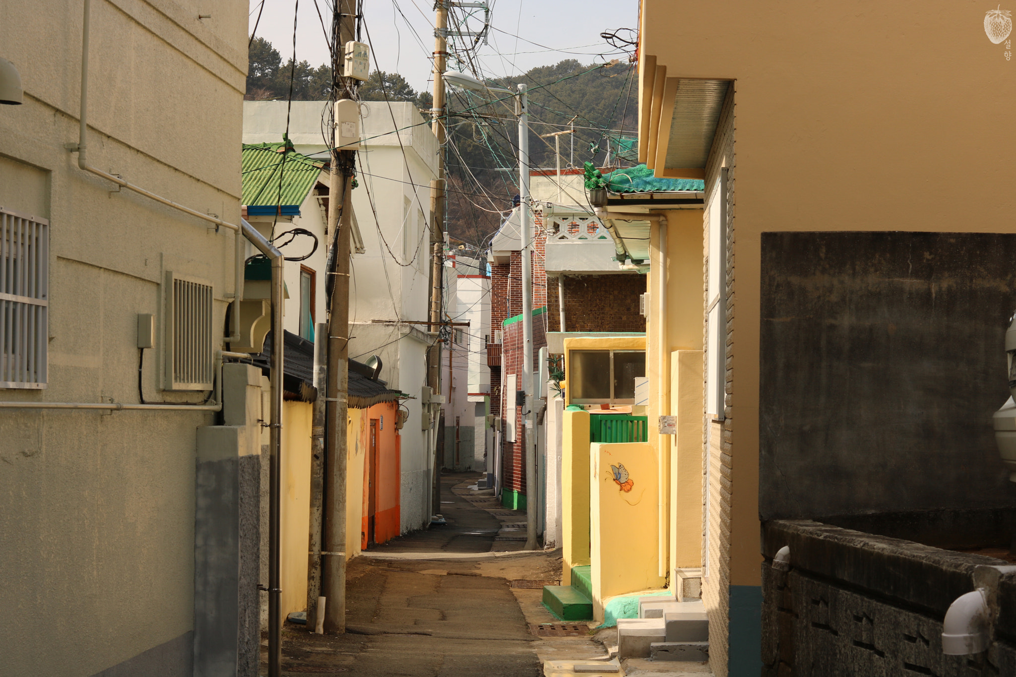 Canon EOS 760D (EOS Rebel T6s / EOS 8000D) + Canon EF 50mm F1.8 STM sample photo. 벌써 그리운 졸업여행 photography