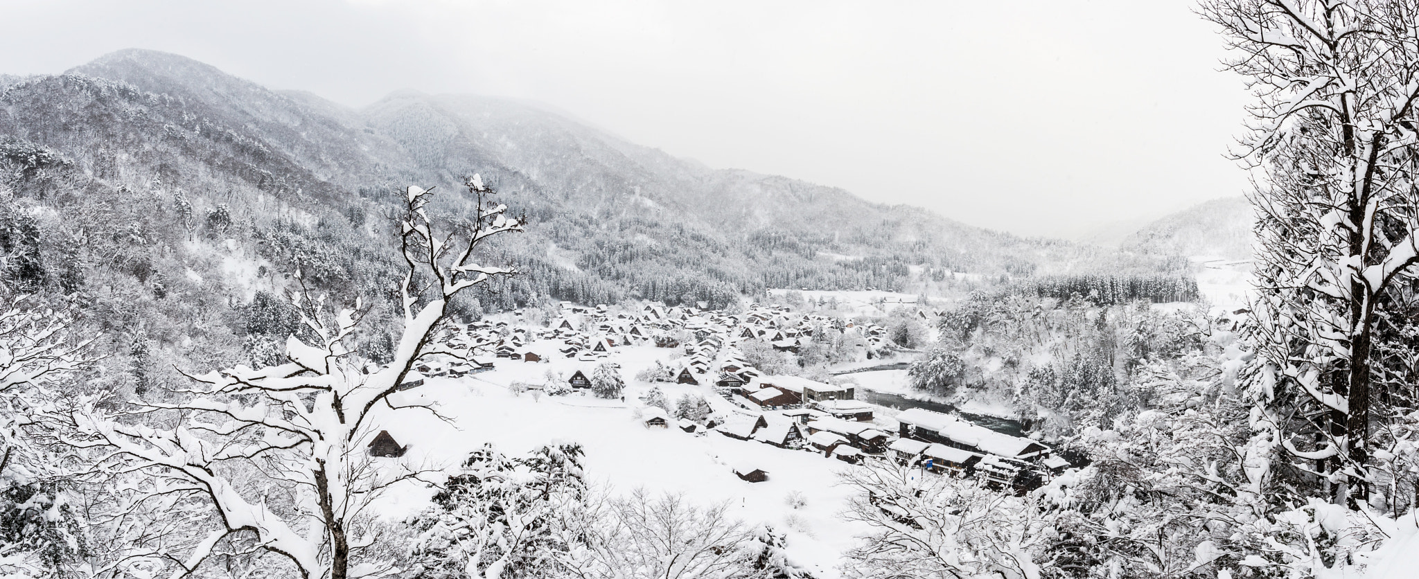 Nikon D800 + Nikon AF-S Nikkor 20mm F1.8G ED sample photo. Shirakawago. photography