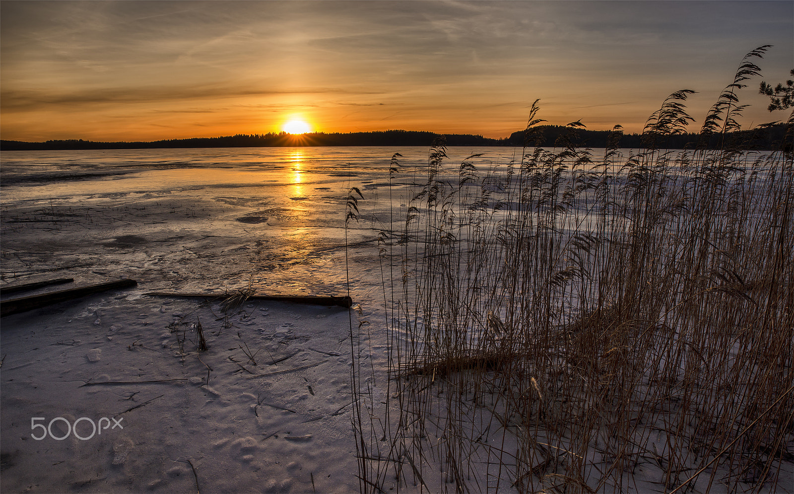 Sony a99 II + Tamron SP 24-70mm F2.8 Di VC USD sample photo. Sunset time... photography