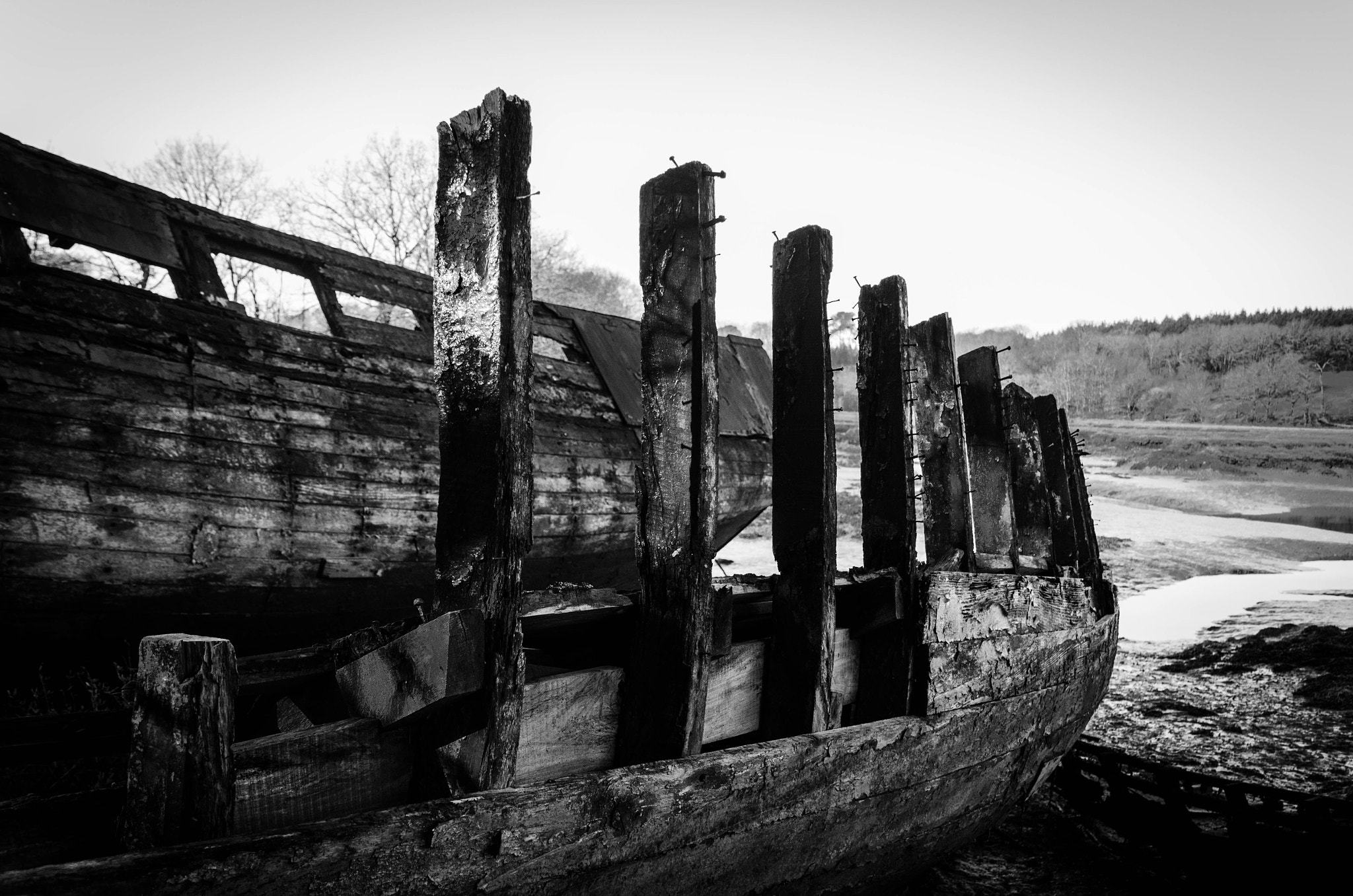 Sigma 18-200mm F3.5-6.3 II DC OS HSM sample photo. Bones photography