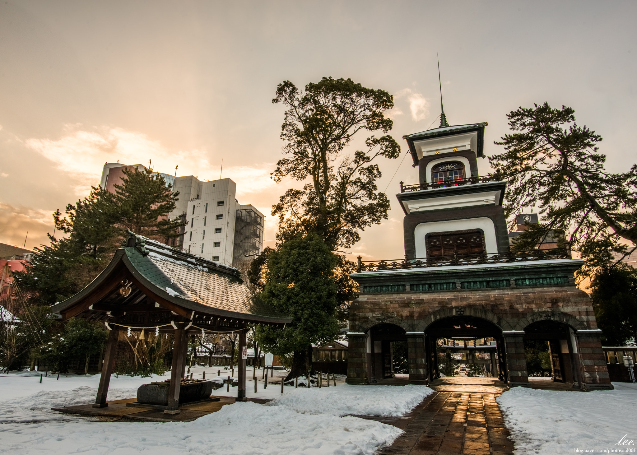 Nikon D800 + Nikon AF-S Nikkor 20mm F1.8G ED sample photo. Oyama shirine. photography