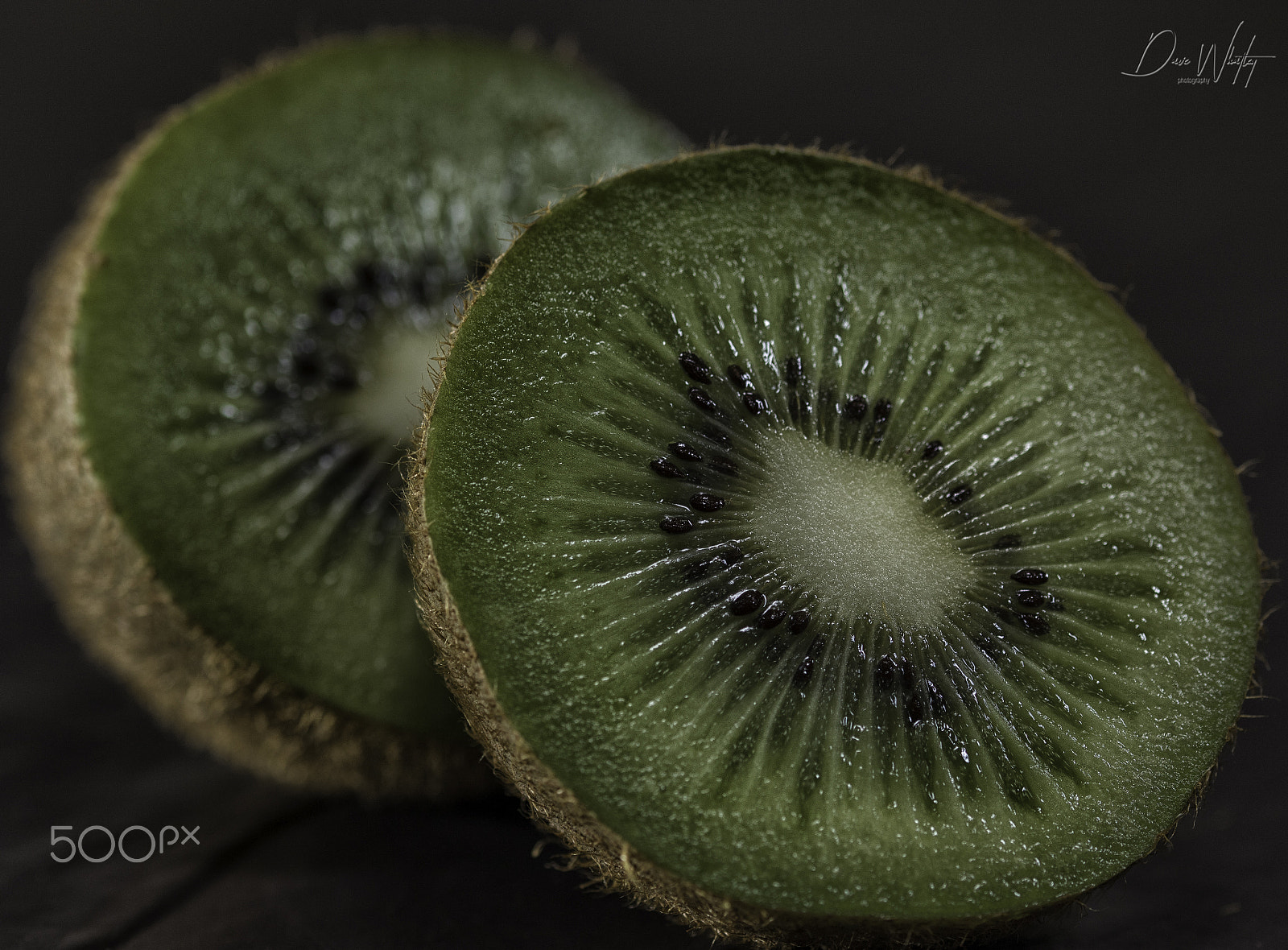 Sigma 105mm F2.8 EX DG OS HSM sample photo. Kiwi photography