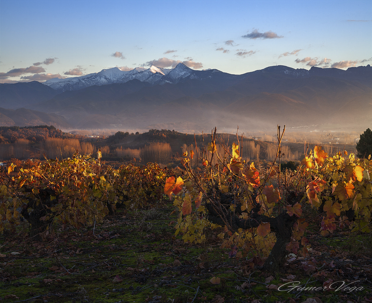 Canon EOS 5D sample photo. Sunset in the vineyards photography