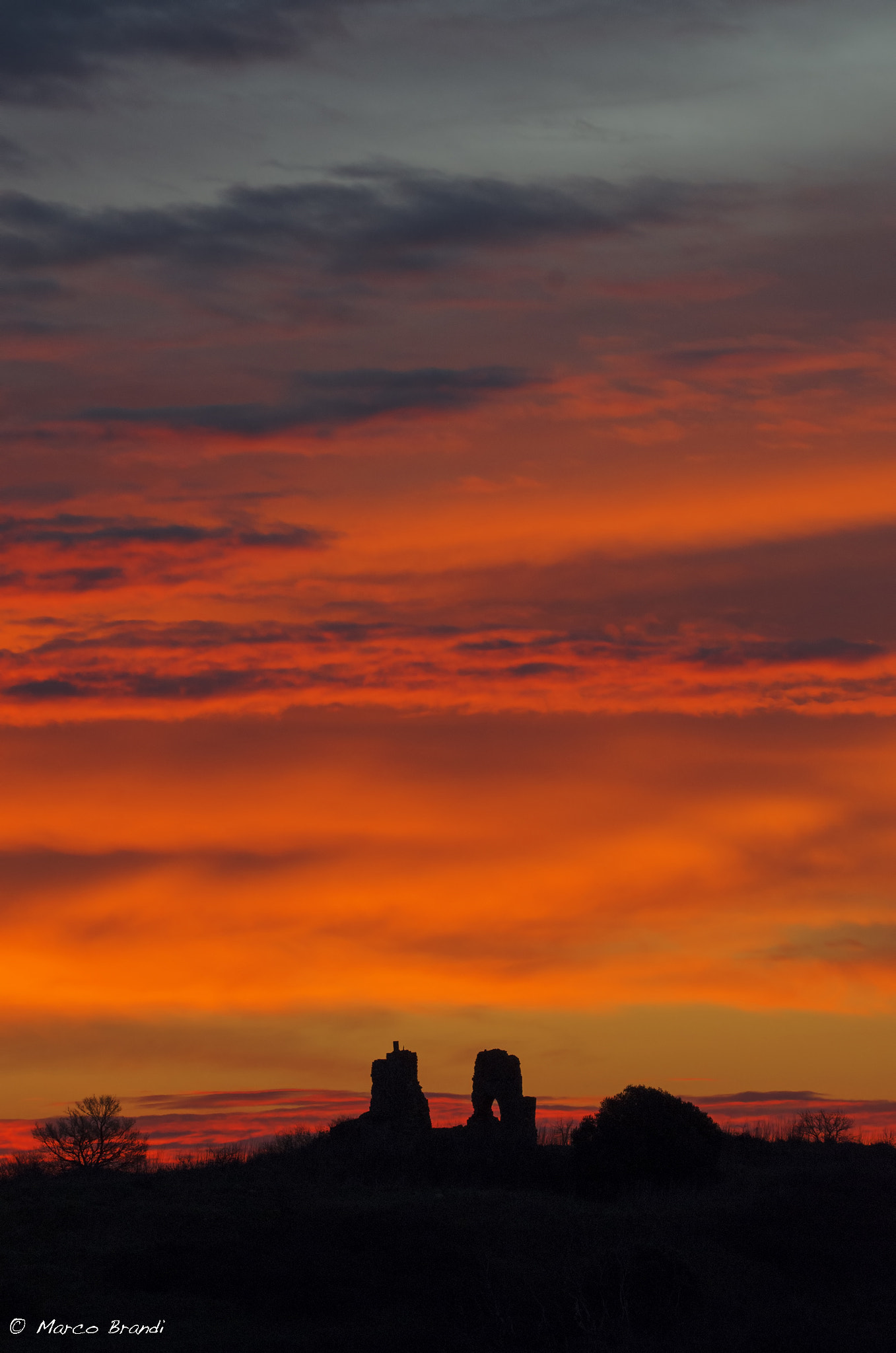 Sigma 150-600mm F5-6.3 DG OS HSM | S sample photo. Alba - sunrise photography