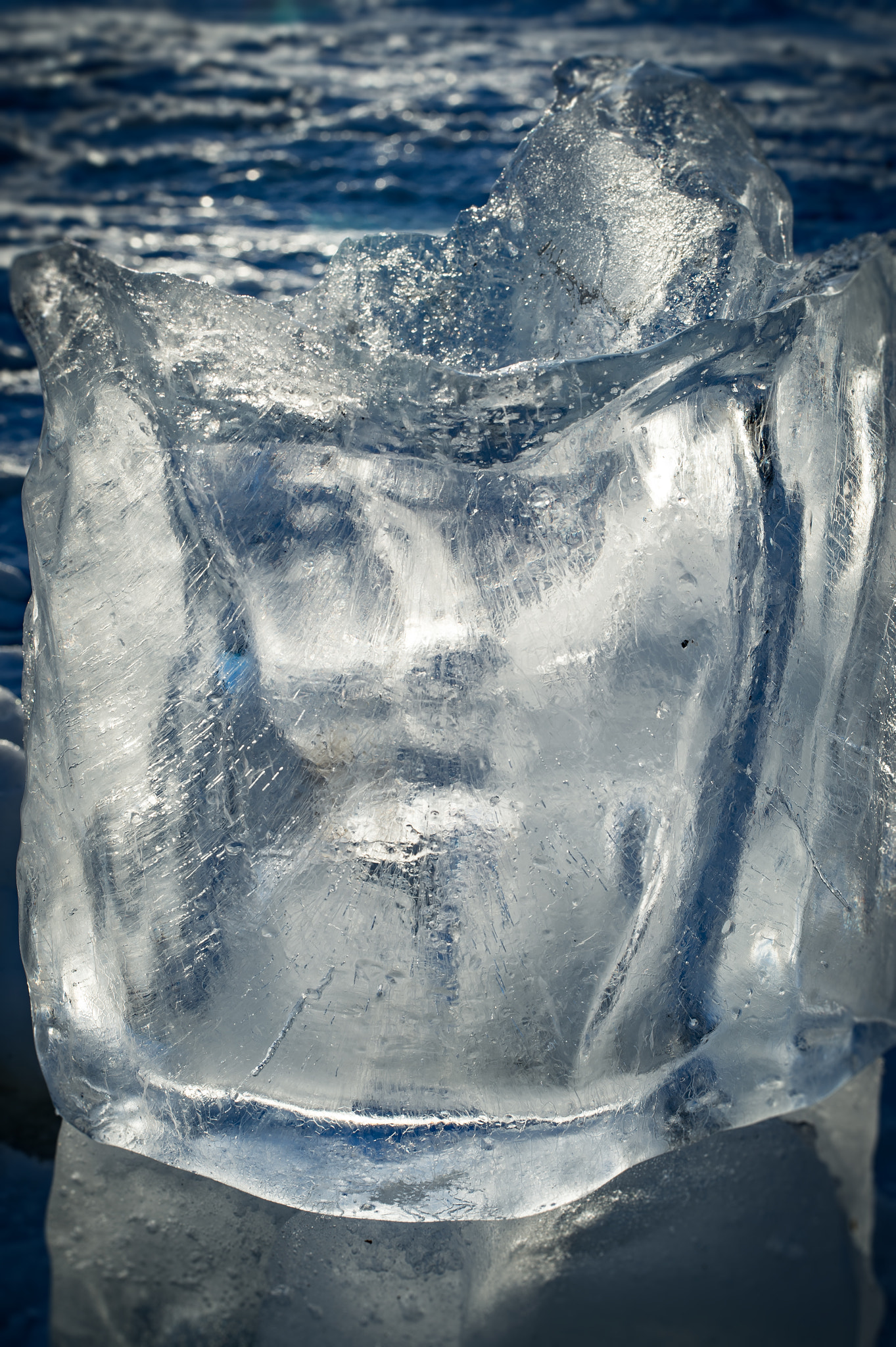 Nikon D4 sample photo. Lady in ice. photography