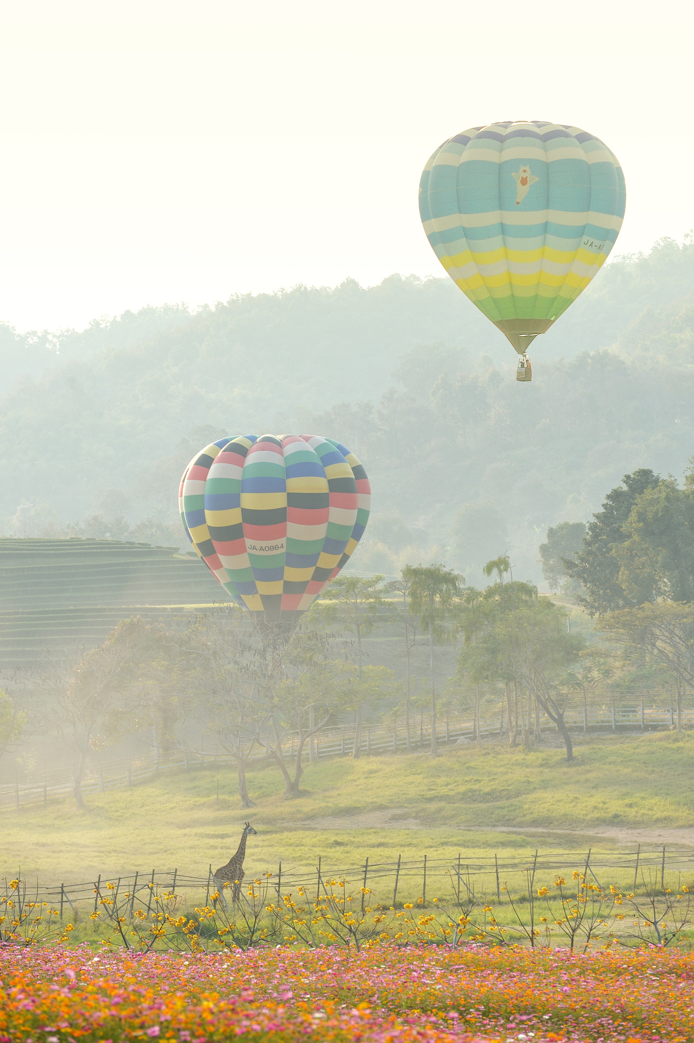 Nikon Df sample photo. Balloon photography