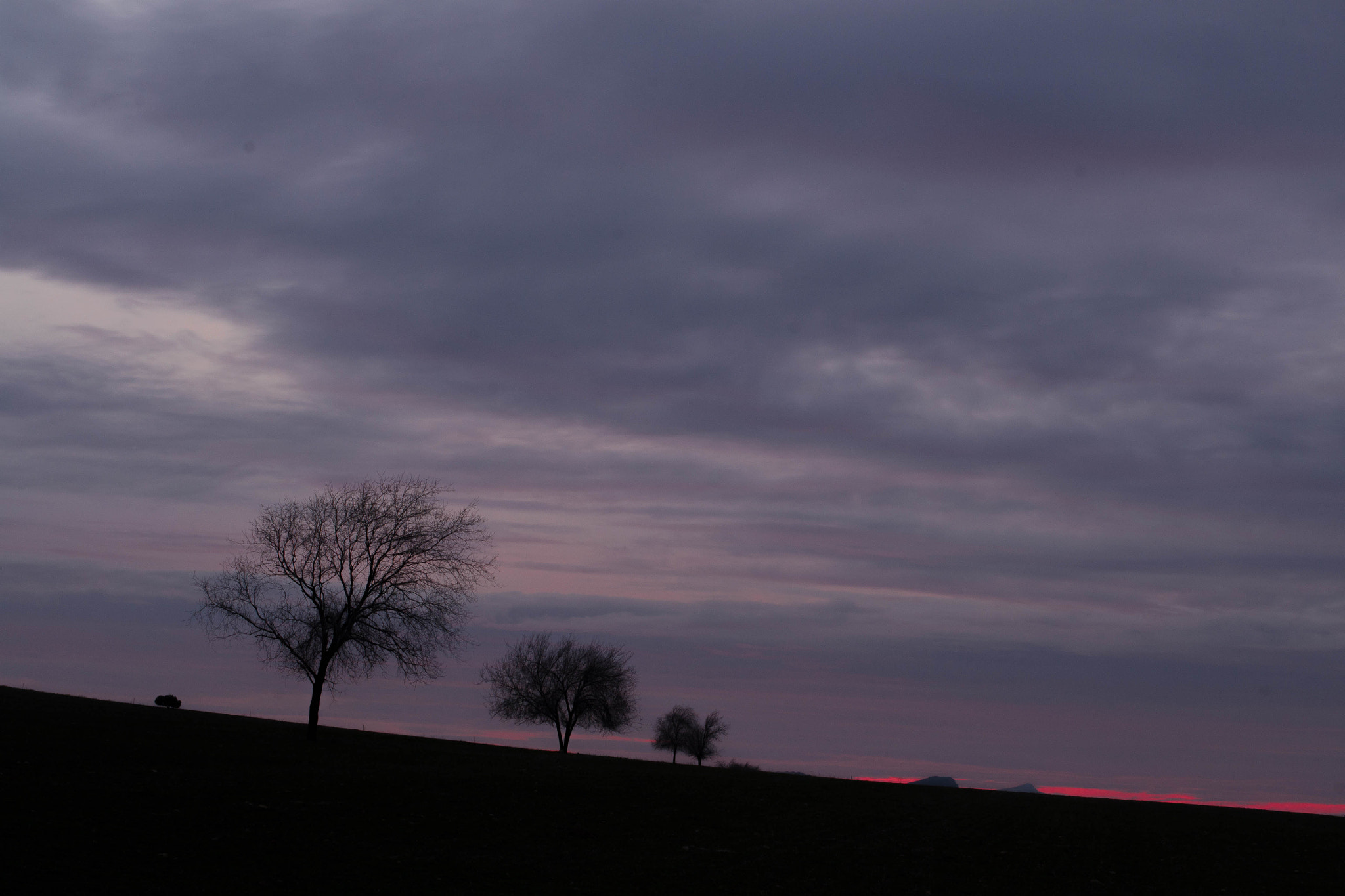 Nikon D3100 + Nikon AF-S Nikkor 50mm F1.4G sample photo. Atardecer photography