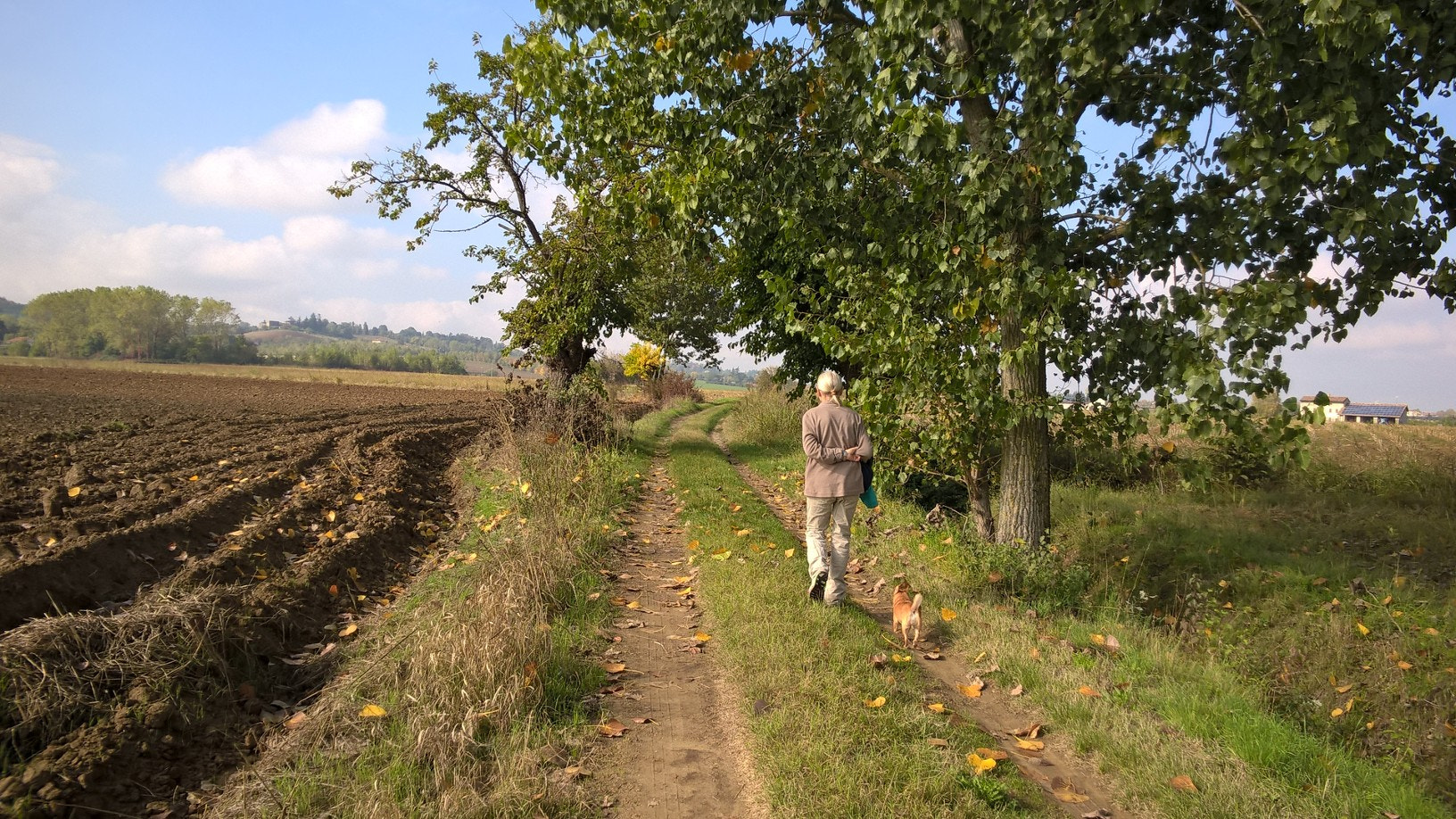 Nokia Lumia 830 sample photo. "due amiche a passeggio" photography