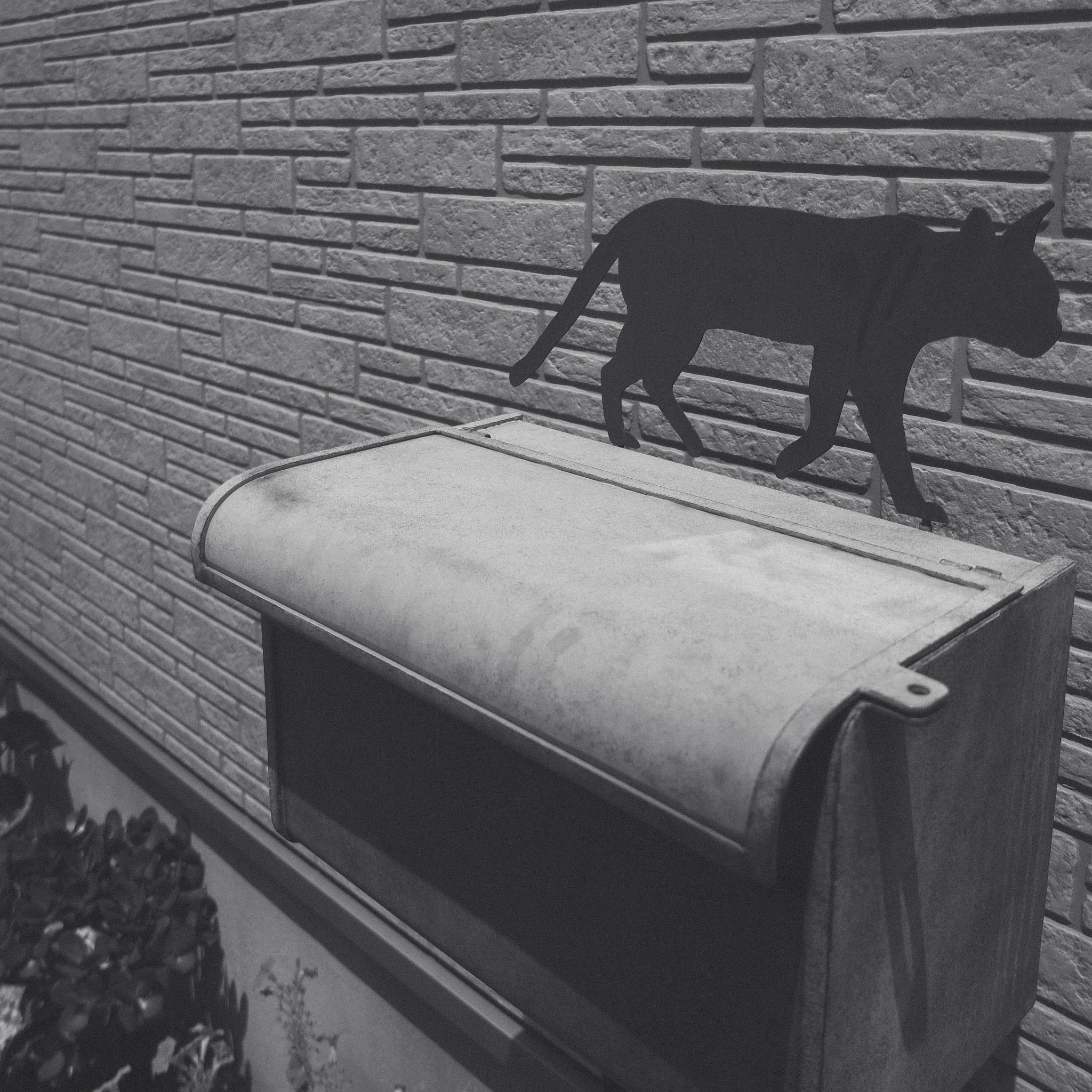 Samsung NX500 + Samsung NX 16-50mm F3.5-5.6 Power Zoom ED OIS sample photo. Like a cat photography