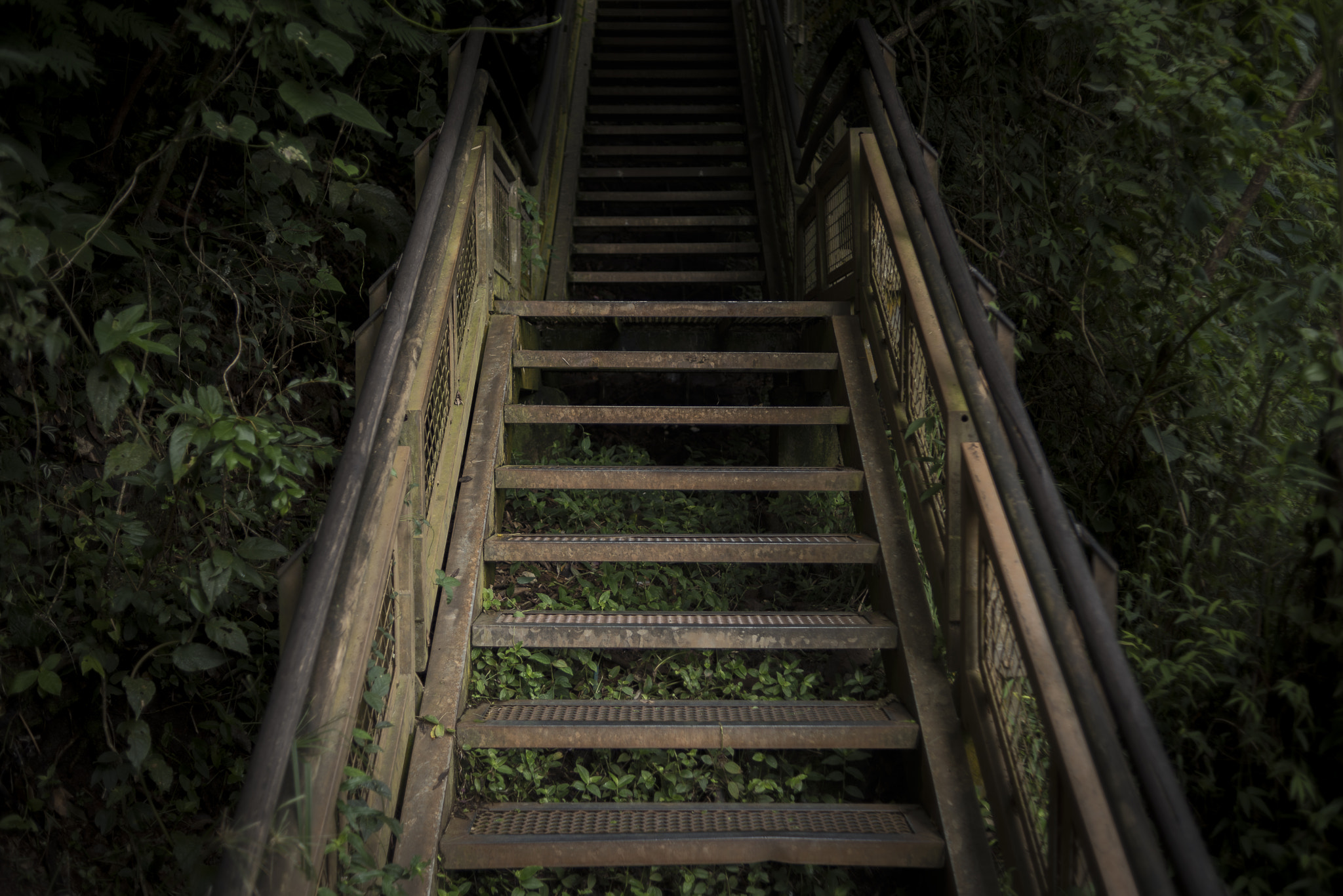 Nikon D750 sample photo. Stairway to darkness photography