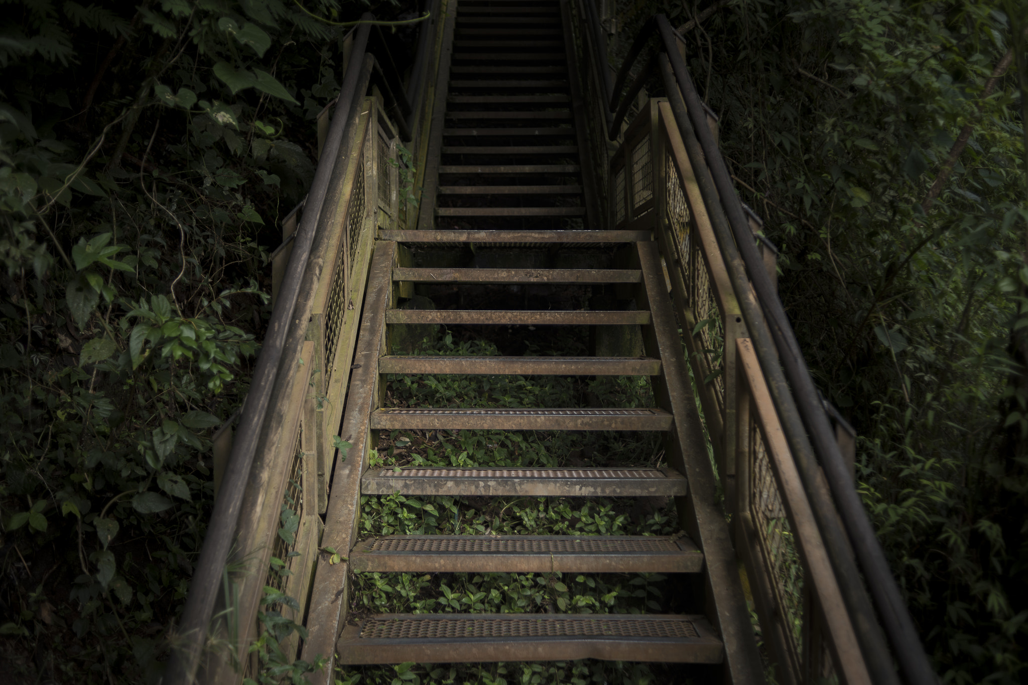 Nikon AF Nikkor 35mm F2D sample photo. Stairway to darkness photography