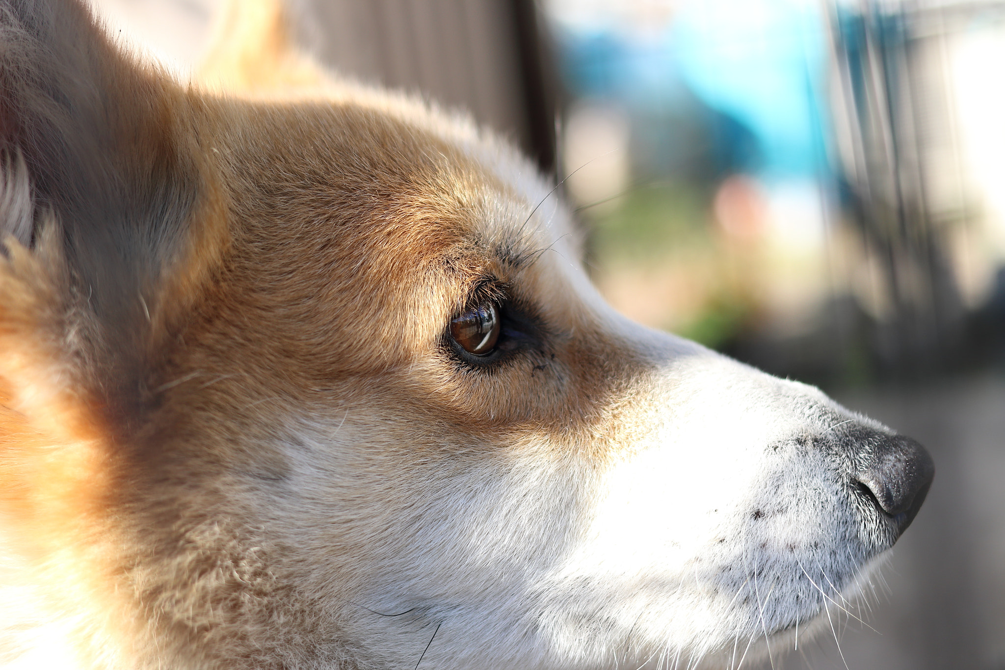 Canon EOS 70D + Canon EF 40mm F2.8 STM sample photo