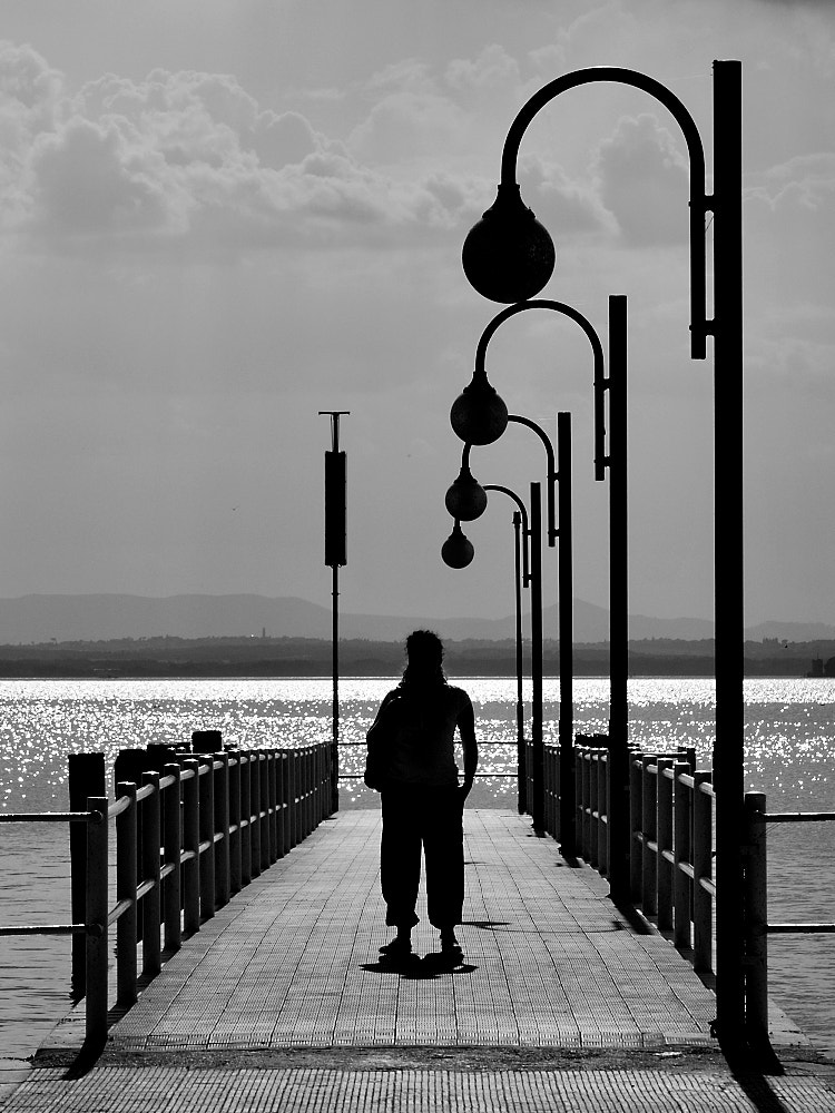 Nikon D300S sample photo. Over the pier photography