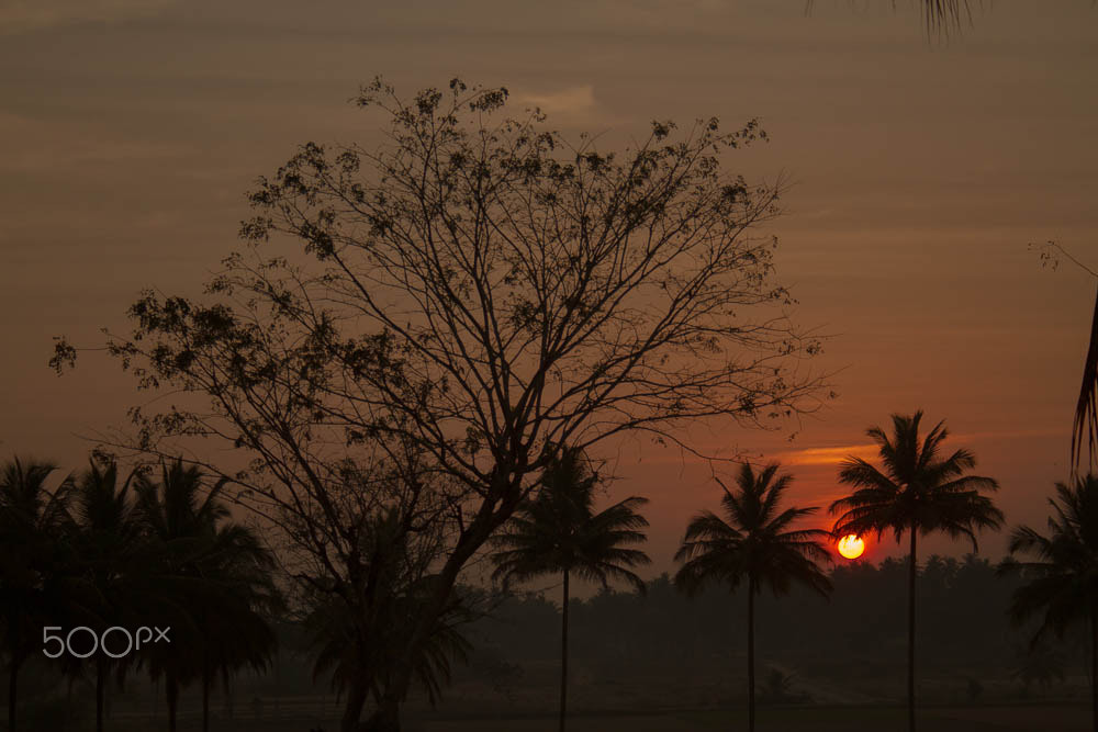 Canon EF-S 18-55mm F3.5-5.6 II sample photo. Sunrise(of ) photography