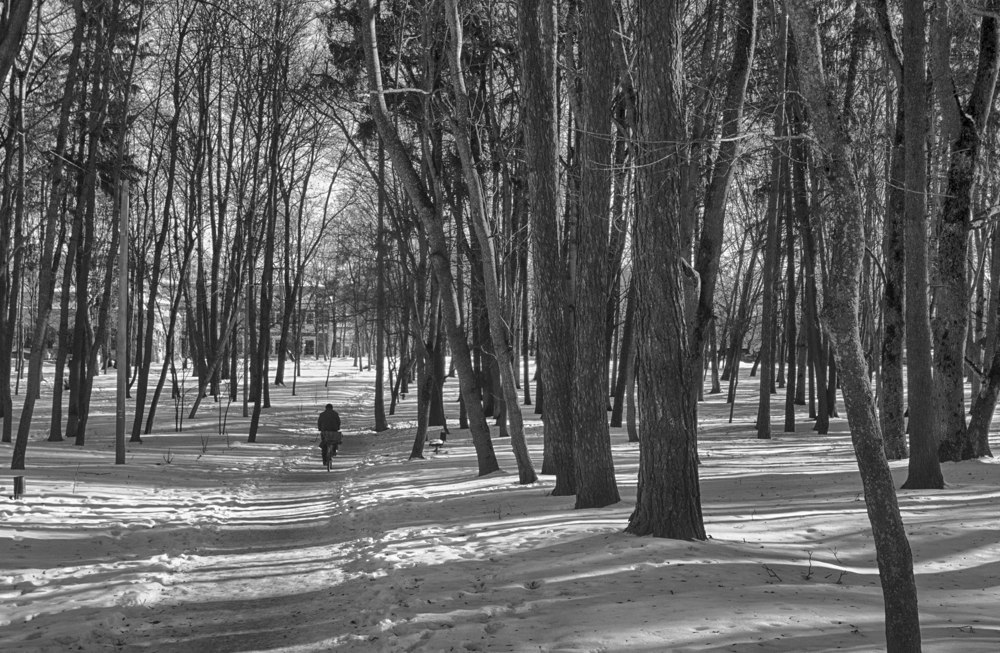 Nikon D3200 sample photo. Зимний парк photography