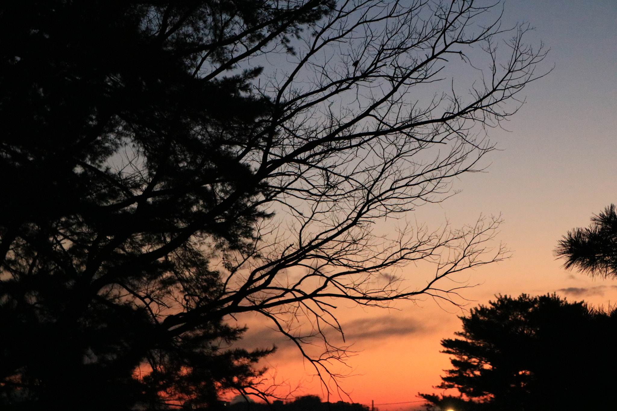 Canon EOS 760D (EOS Rebel T6s / EOS 8000D) sample photo. Capillary of the earth photography