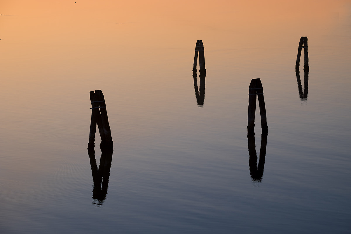Fujifilm X-E2 + Fujifilm XF 55-200mm F3.5-4.8 R LM OIS sample photo. 2colori x 4elementi photography