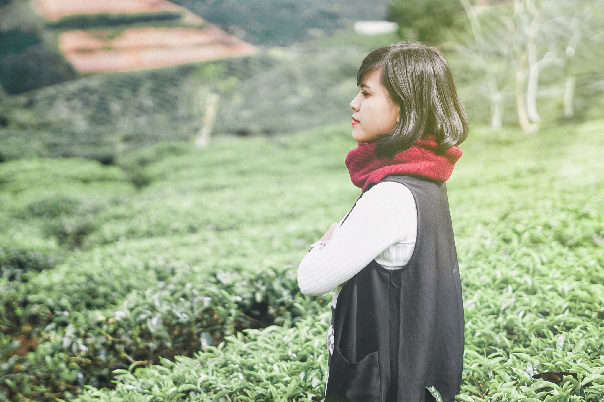 Sony FE 50mm F1.8 sample photo. Dalat - vietnam photography