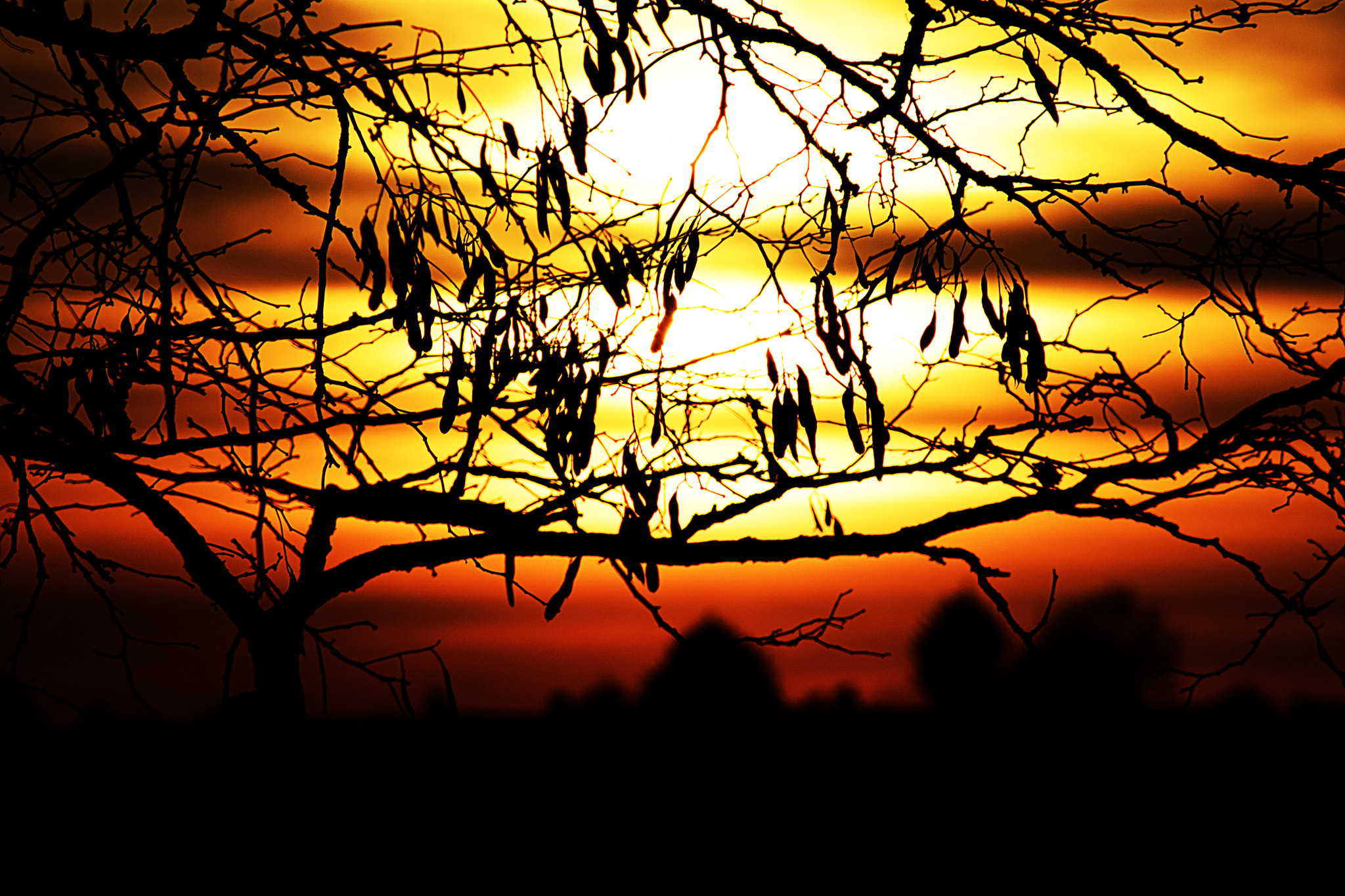 Canon EOS 750D (EOS Rebel T6i / EOS Kiss X8i) sample photo. Hidden treasure photography