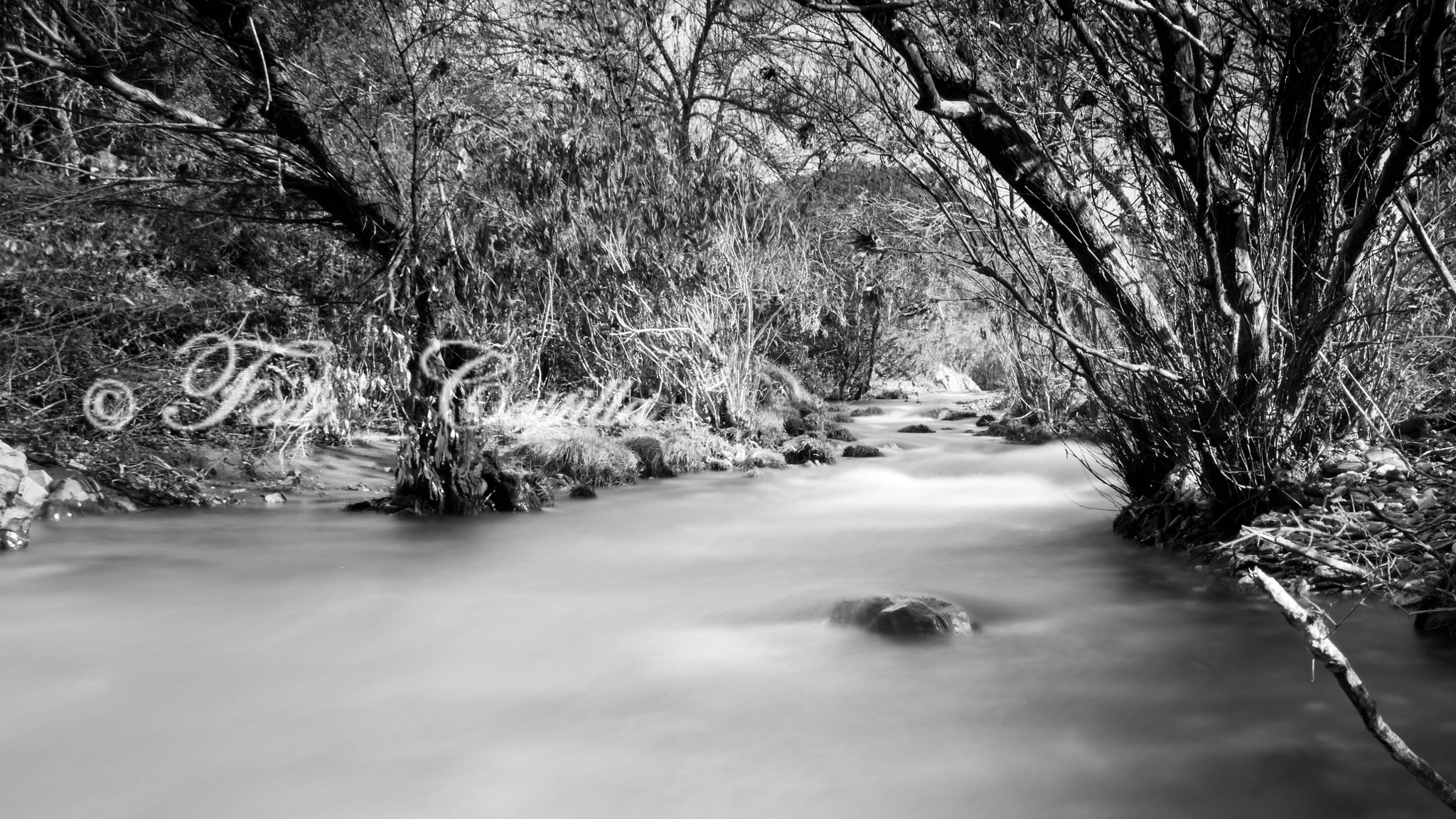 Sigma 18-250mm F3.5-6.3 DC OS HSM sample photo. Rivera de alcalaboza. aroche (huelva) photography