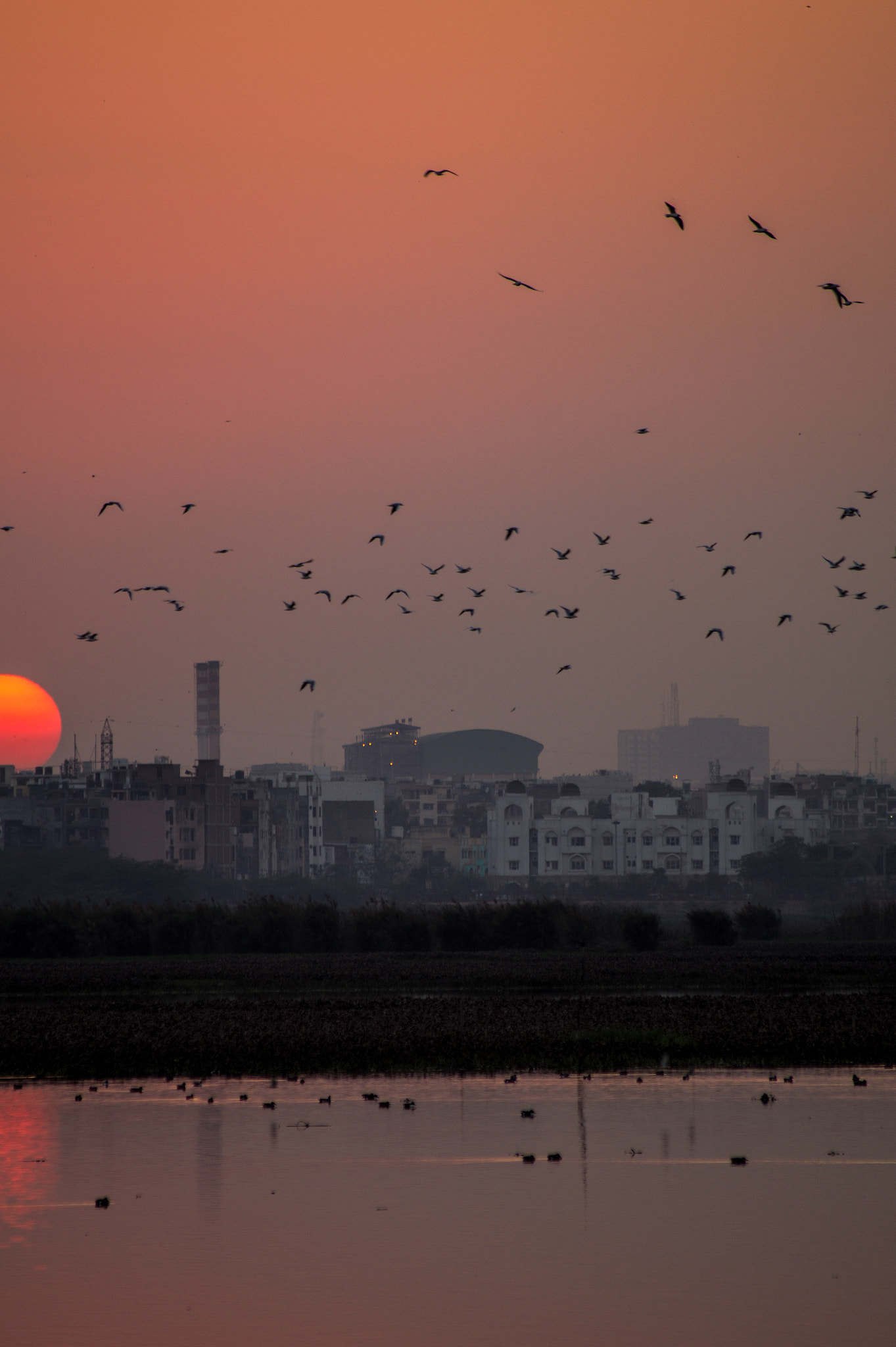 Sony 75-300mm F4.5-5.6 sample photo. Warm return photography