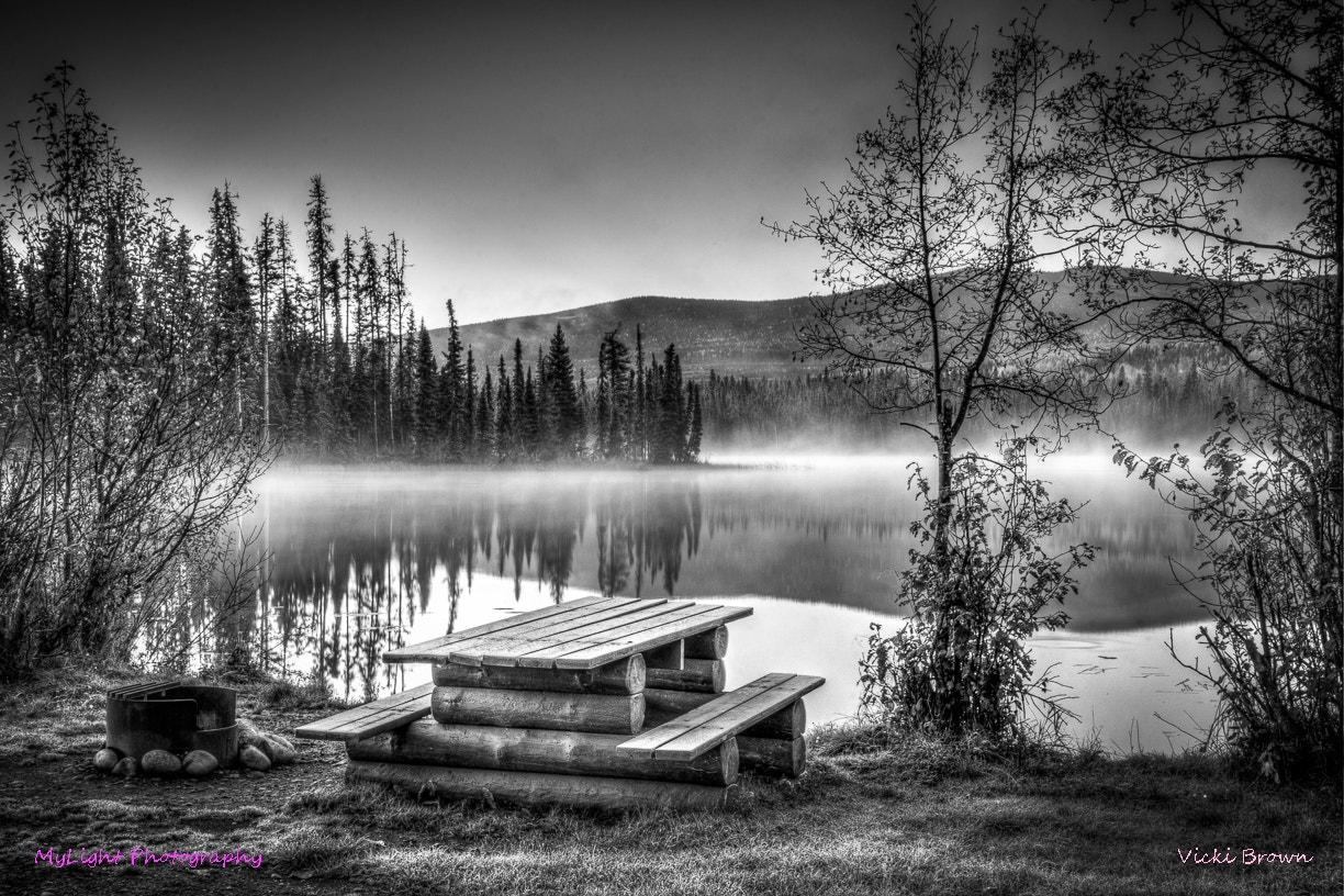 Nikon D7200 sample photo. Francis lake picnic photography