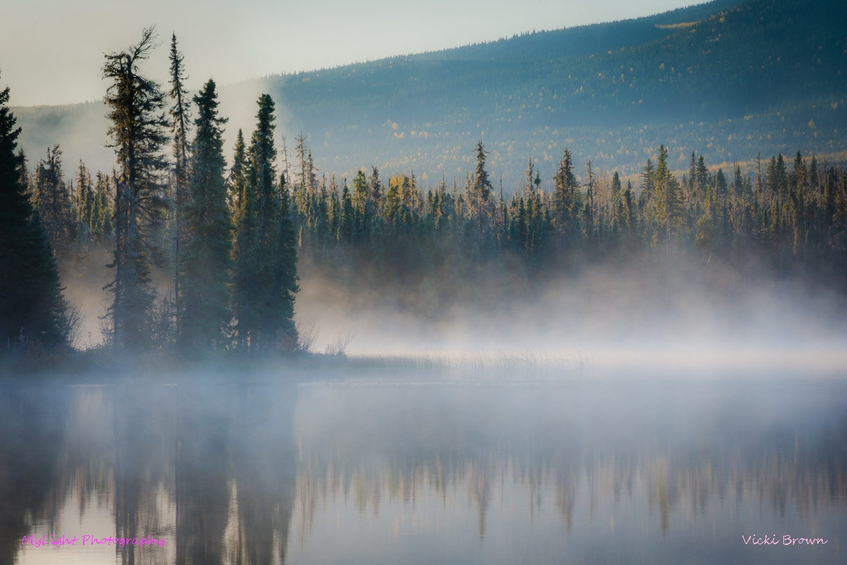 Nikon D7200 sample photo. Sunrise at francis lake photography