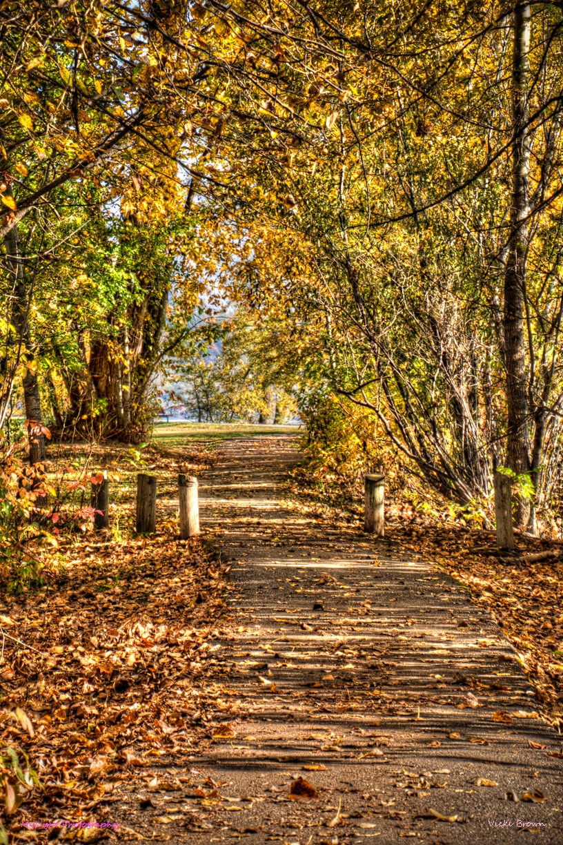 Nikon D7200 sample photo. Follow the path photography