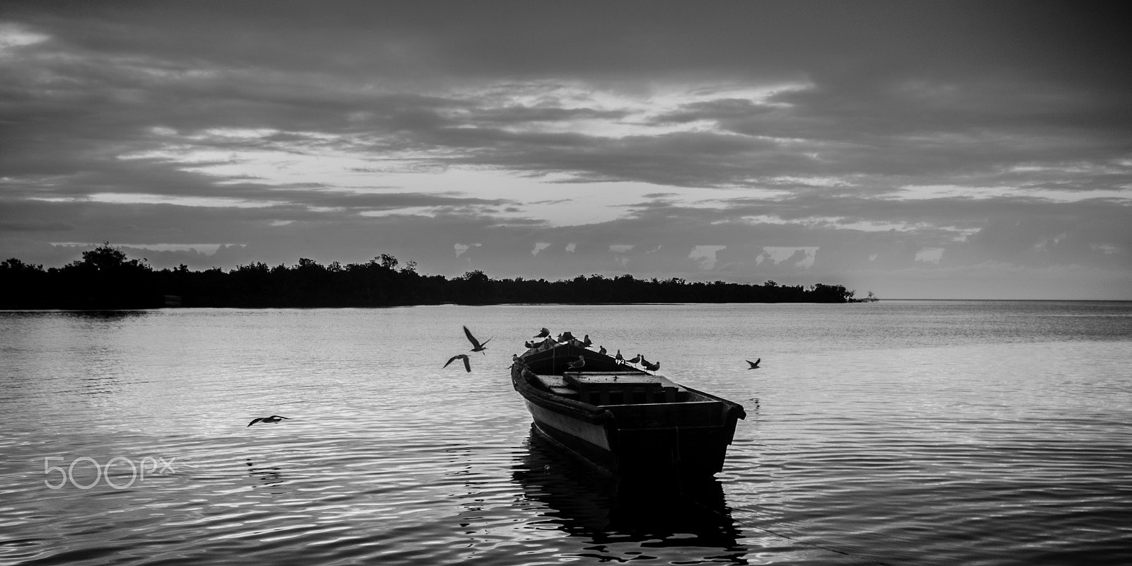 Nikon D600 sample photo. Even home gets crowded photography